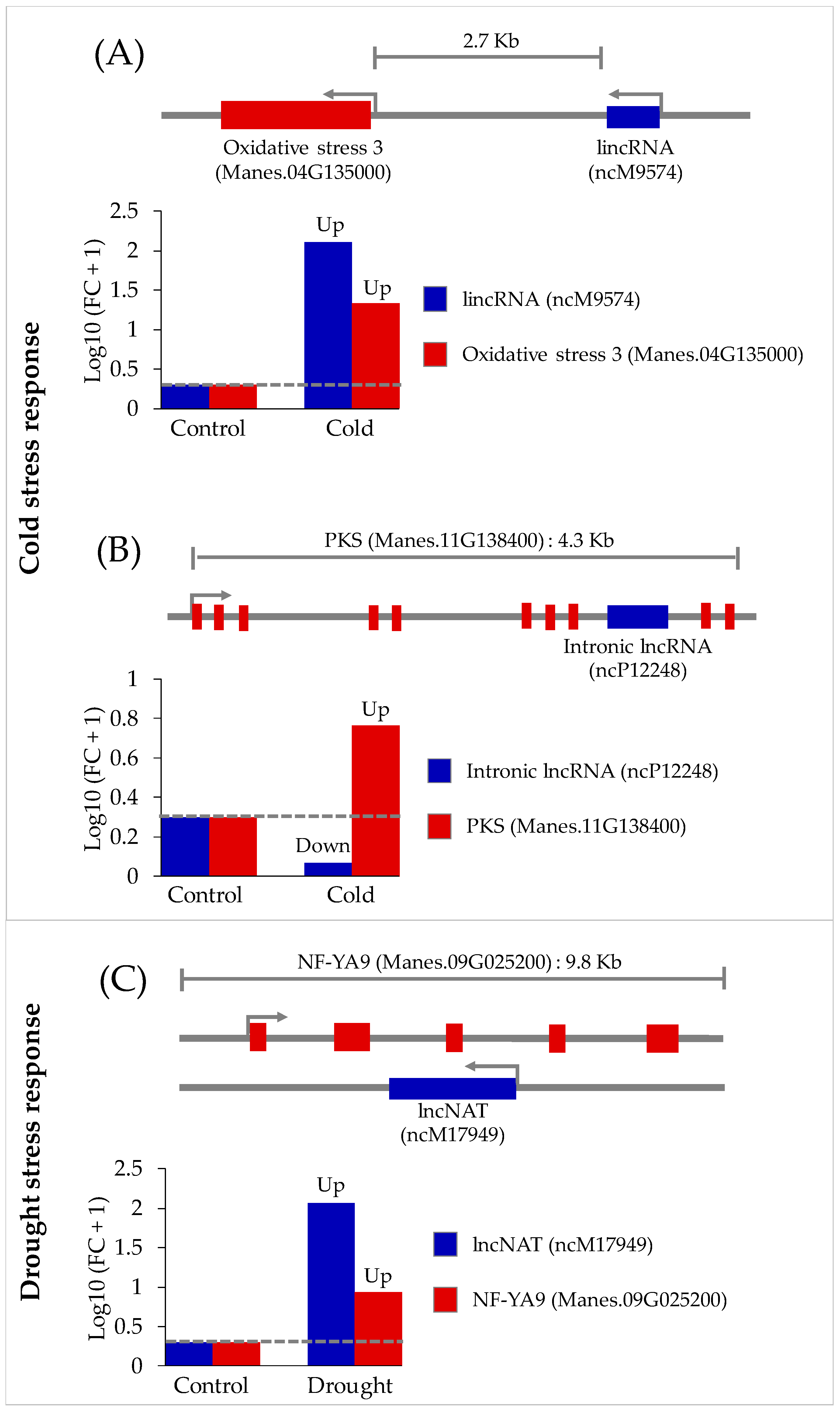 Genes 11 00366 g005