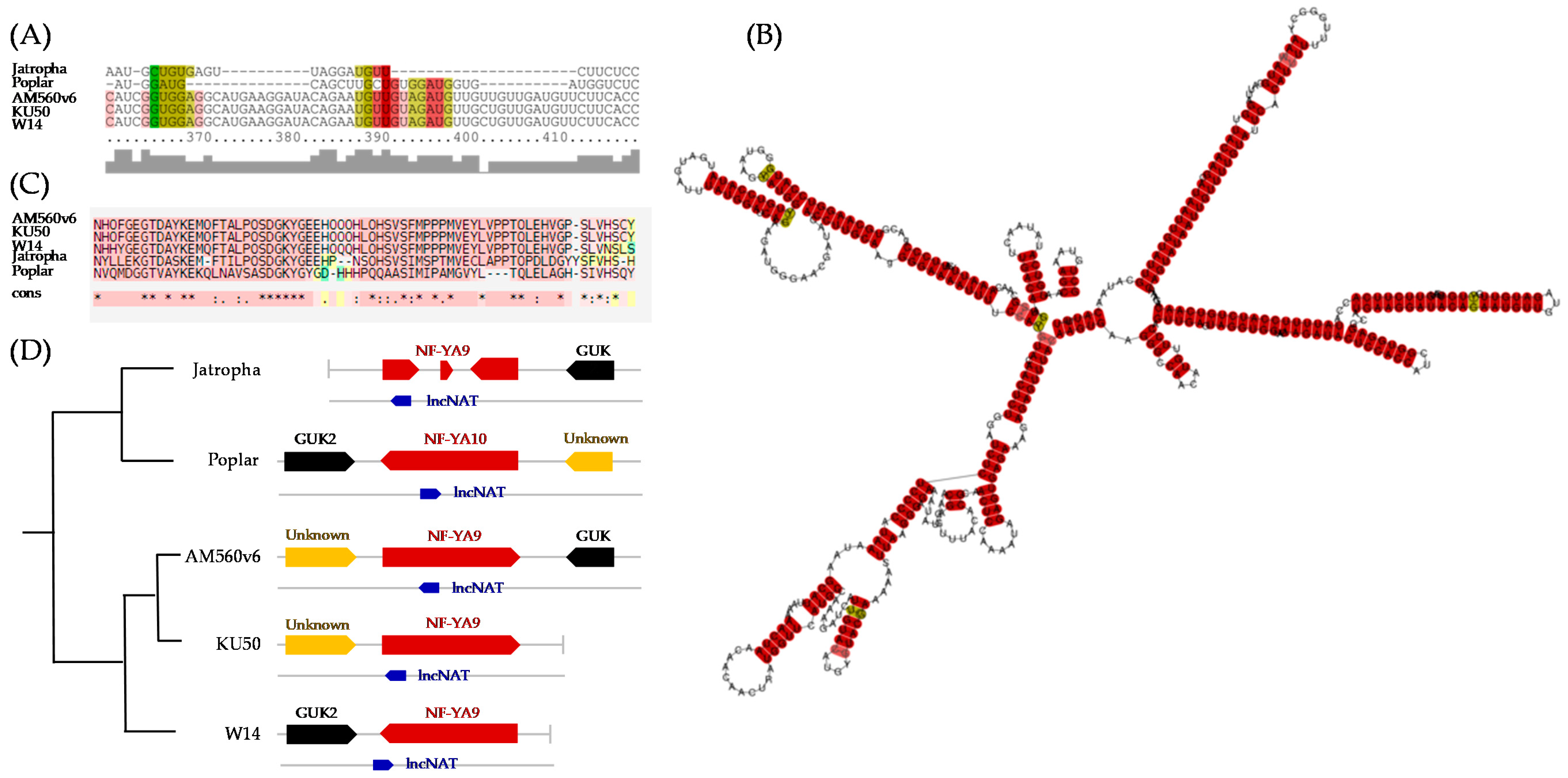 Genes 11 00366 g006
