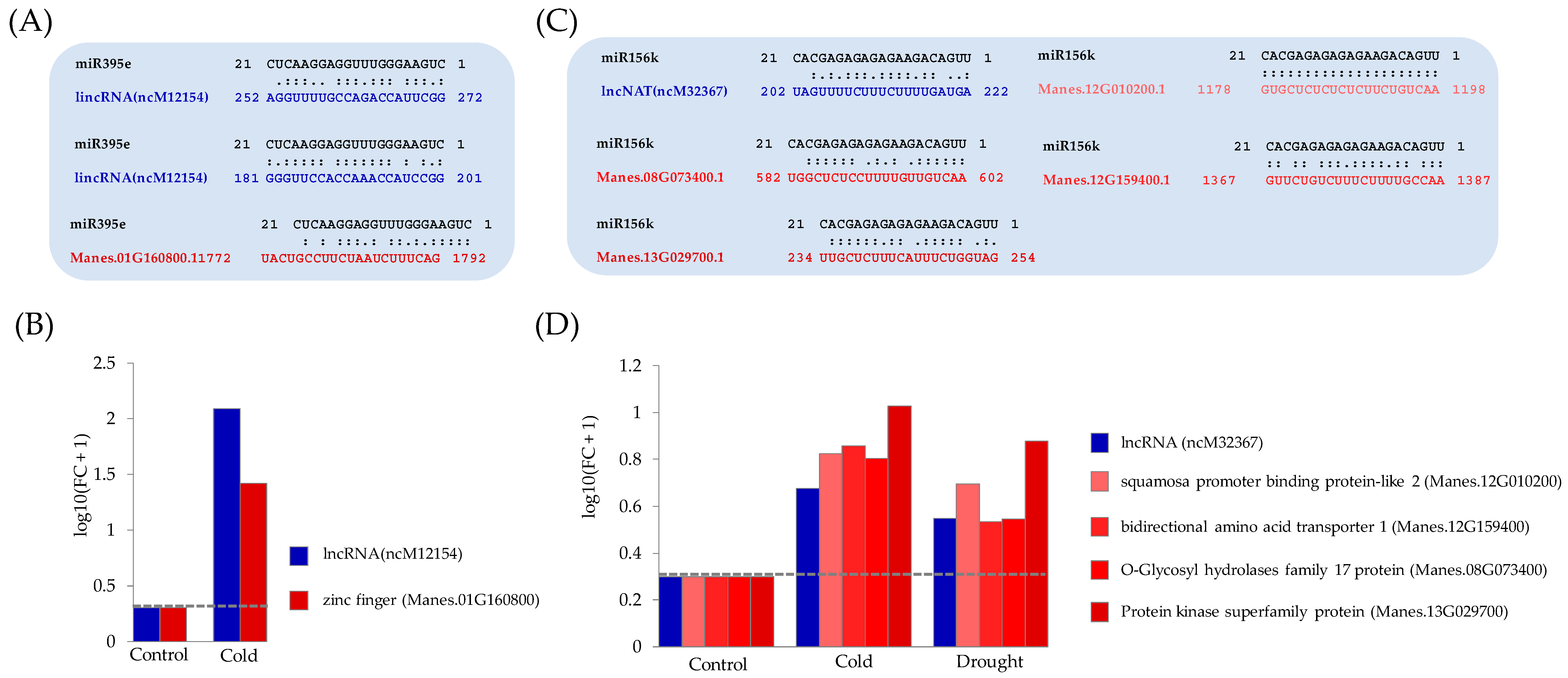 Genes 11 00366 g008
