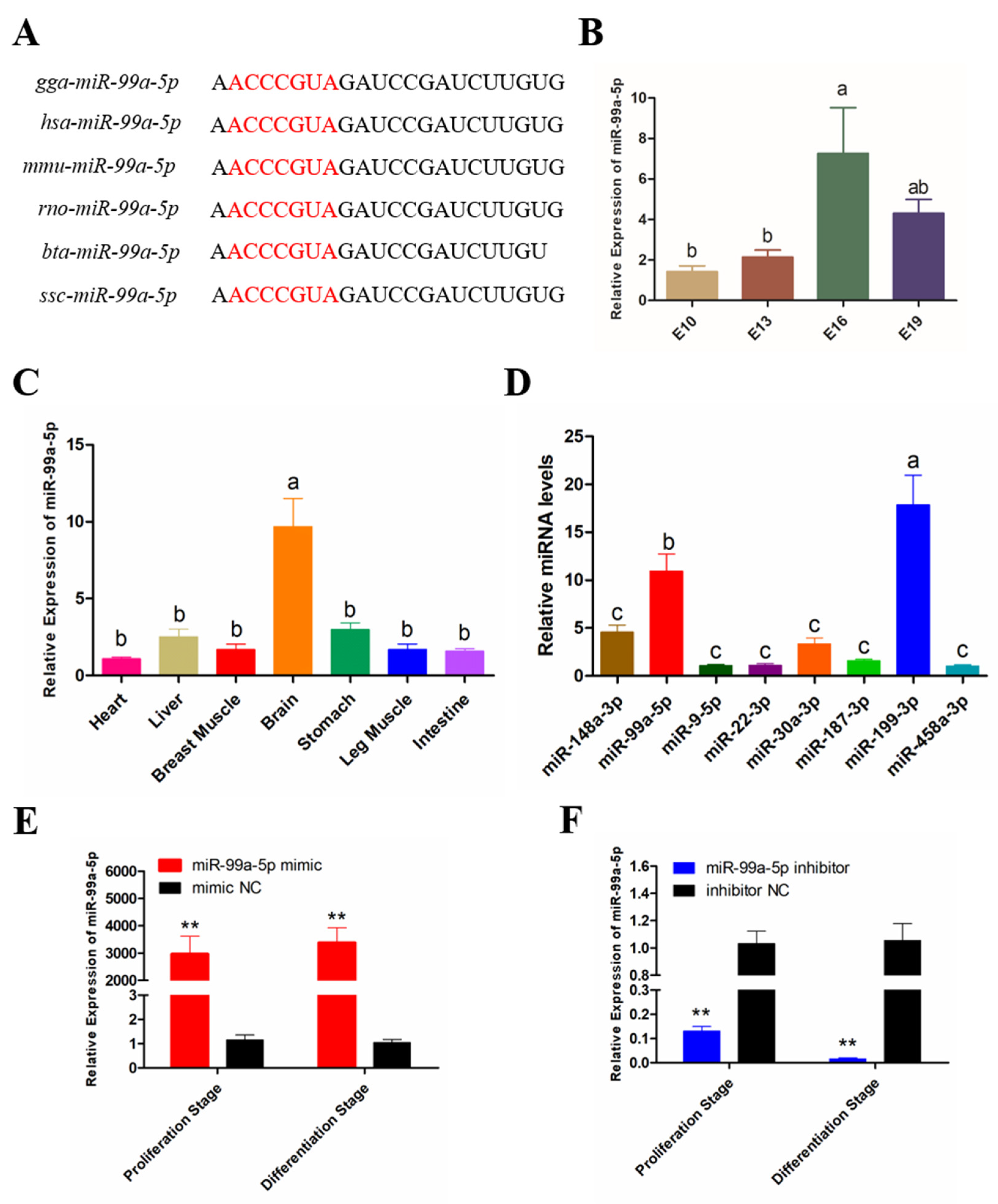 Genes 11 00369 g001 Genes 11 00369 g001