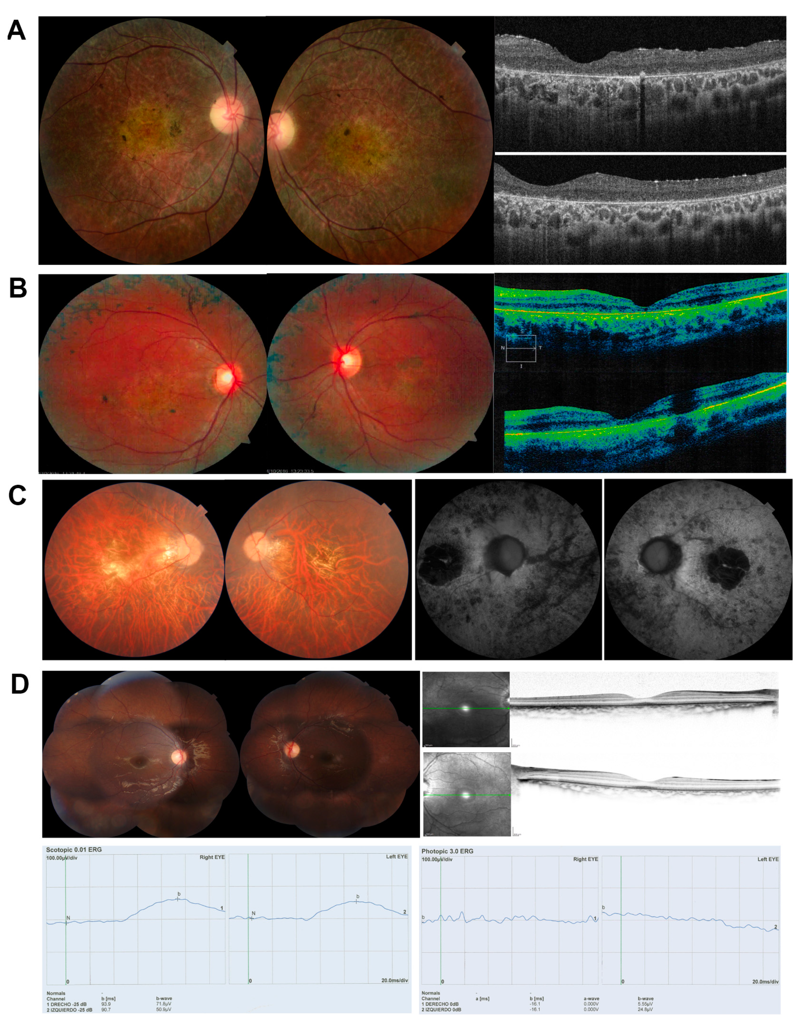 Genes 11 00378 g001 Genes 11 00378 g001