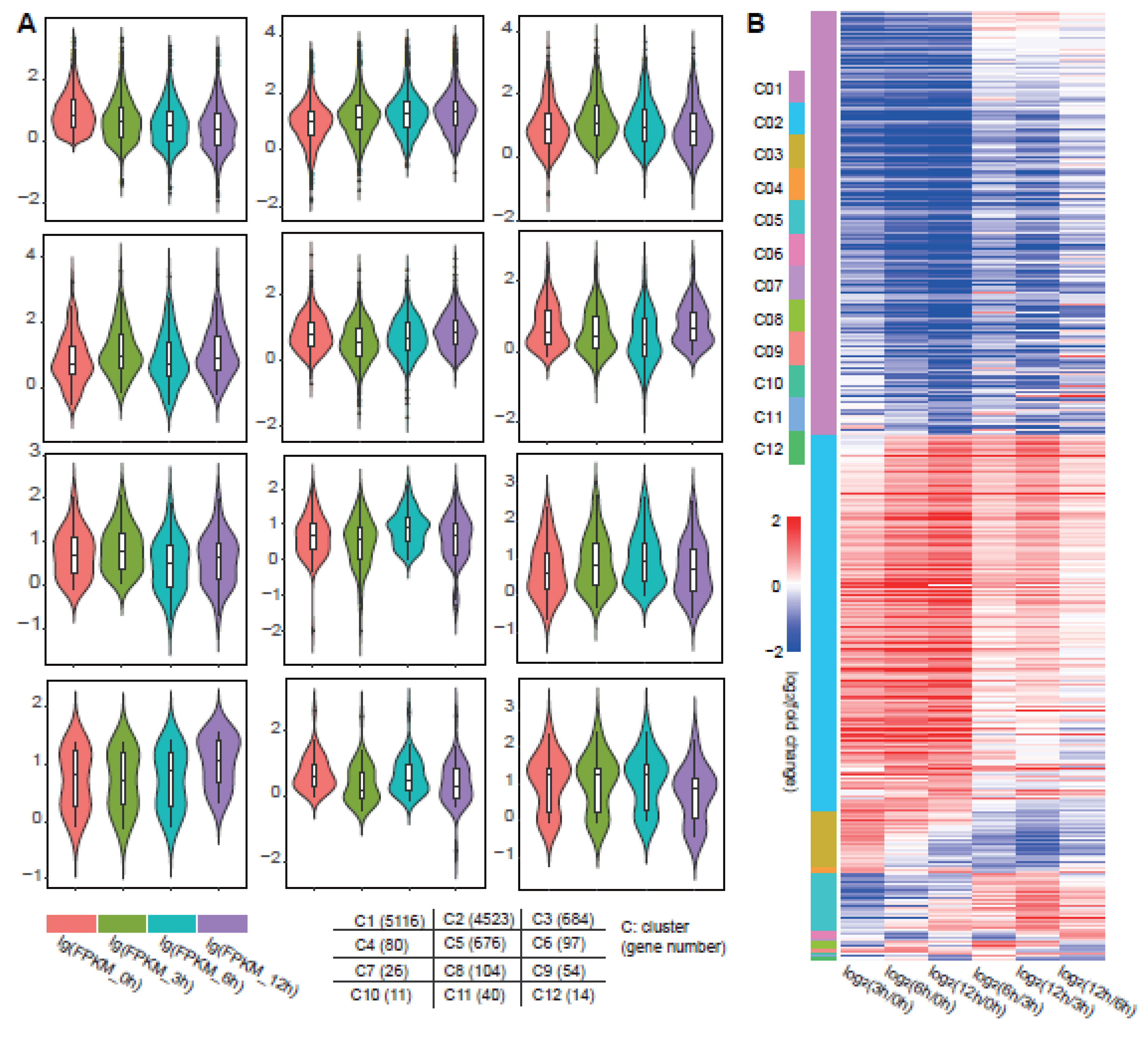 Genes 11 00380 g002 Genes 11 00380 g002