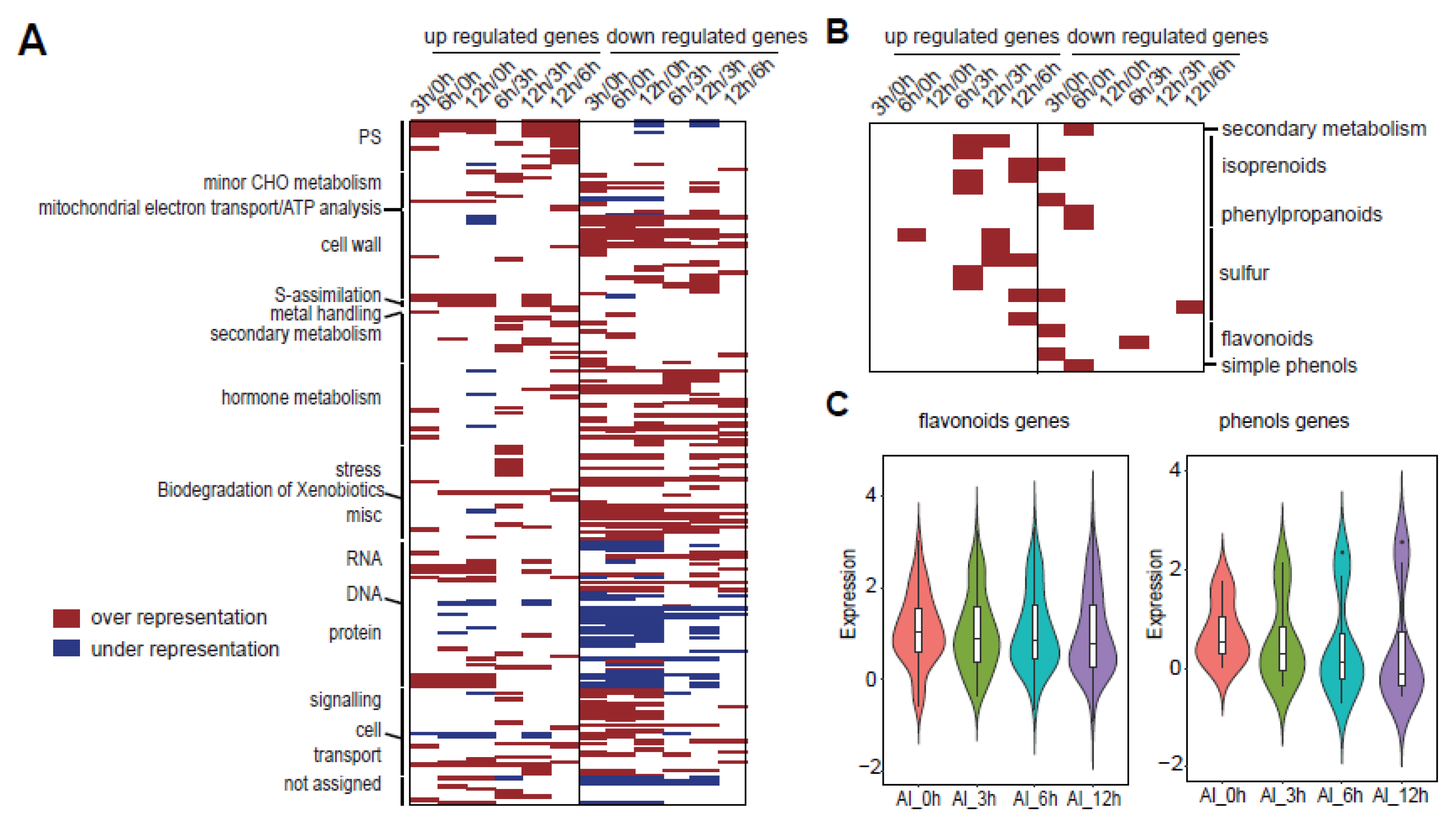 Genes 11 00380 g005 Genes 11 00380 g005