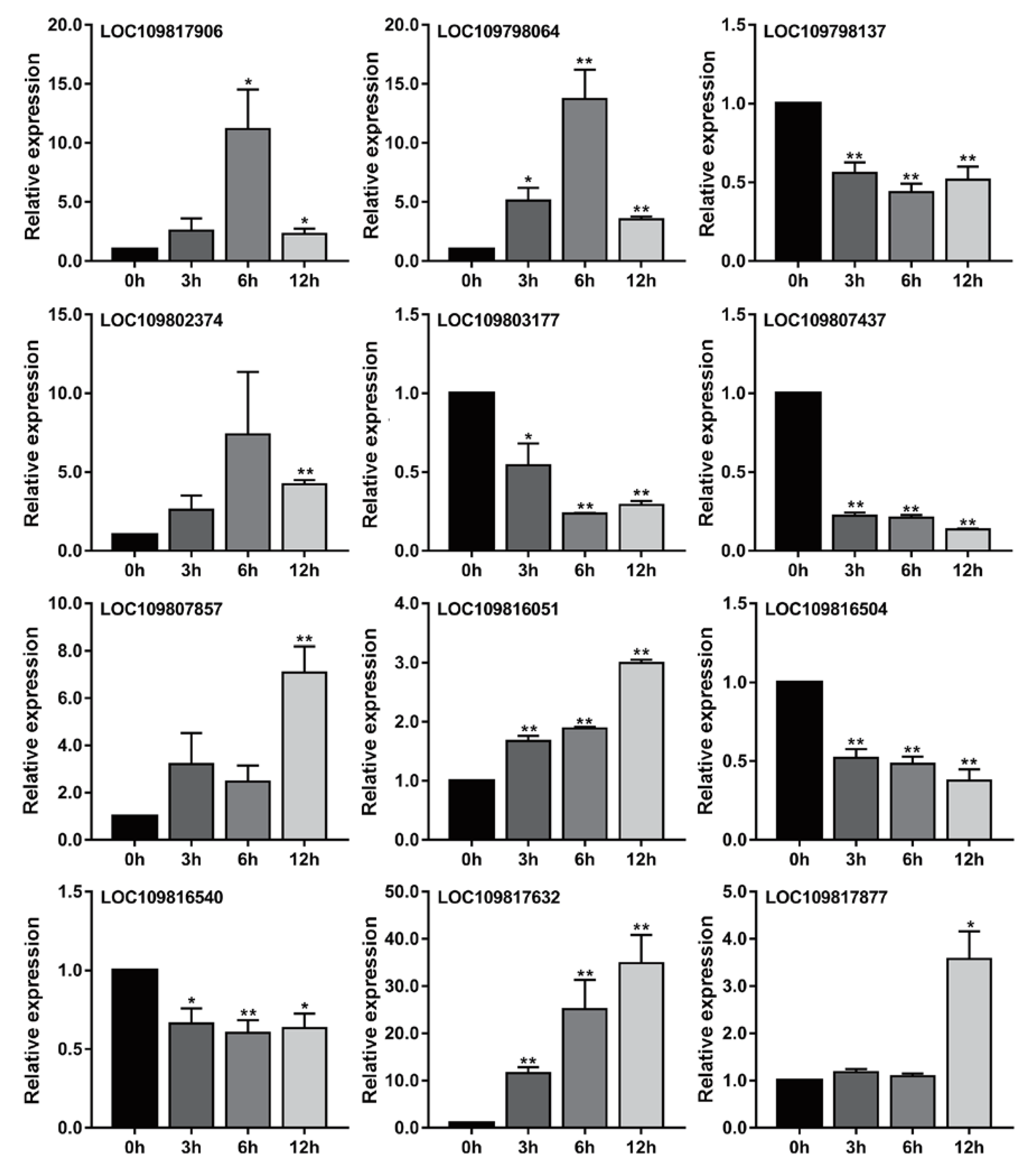 Genes 11 00380 g007 Genes 11 00380 g007