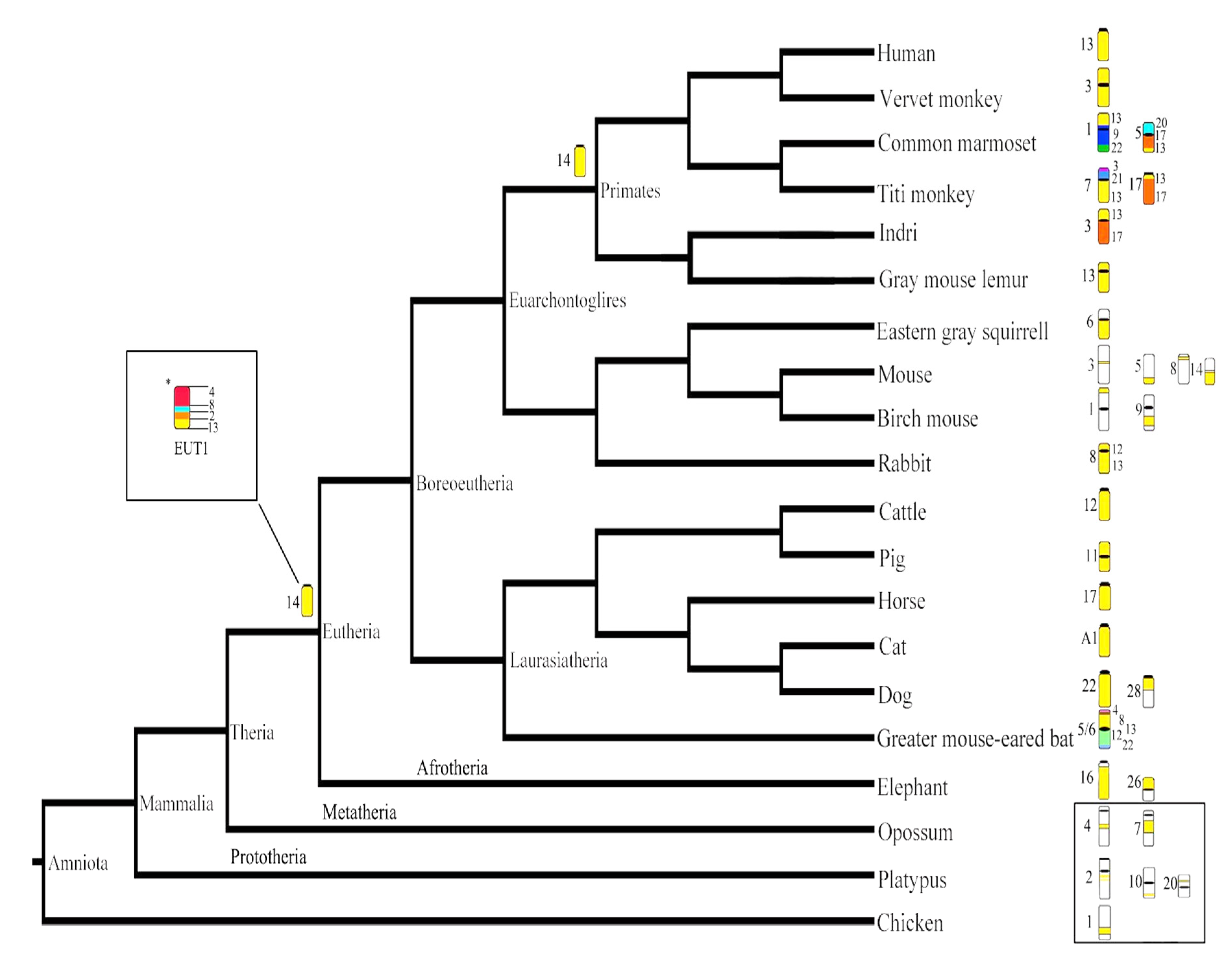 Genes 11 00383 g001