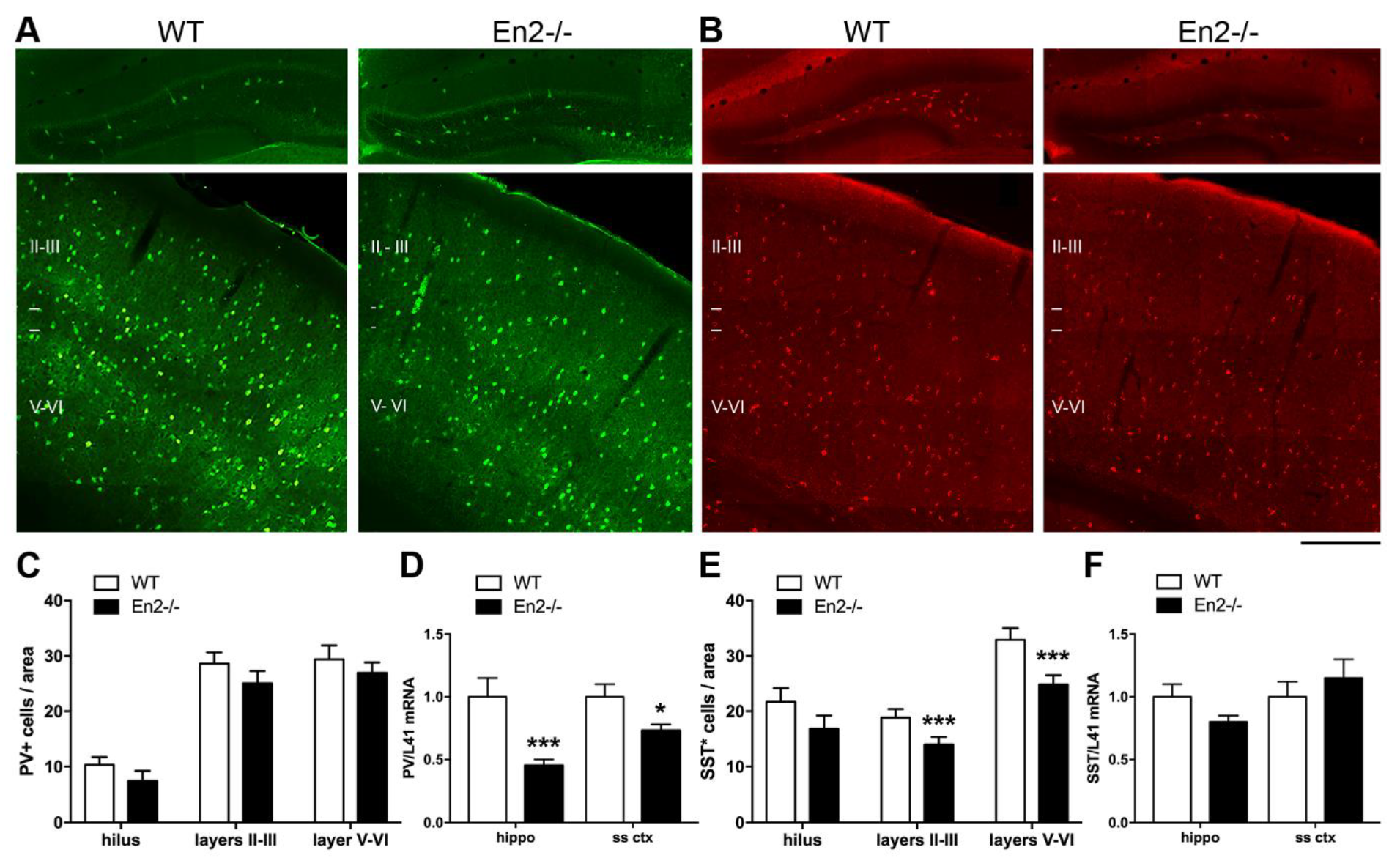 Genes 11 00384 g003 Genes 11 00384 g003