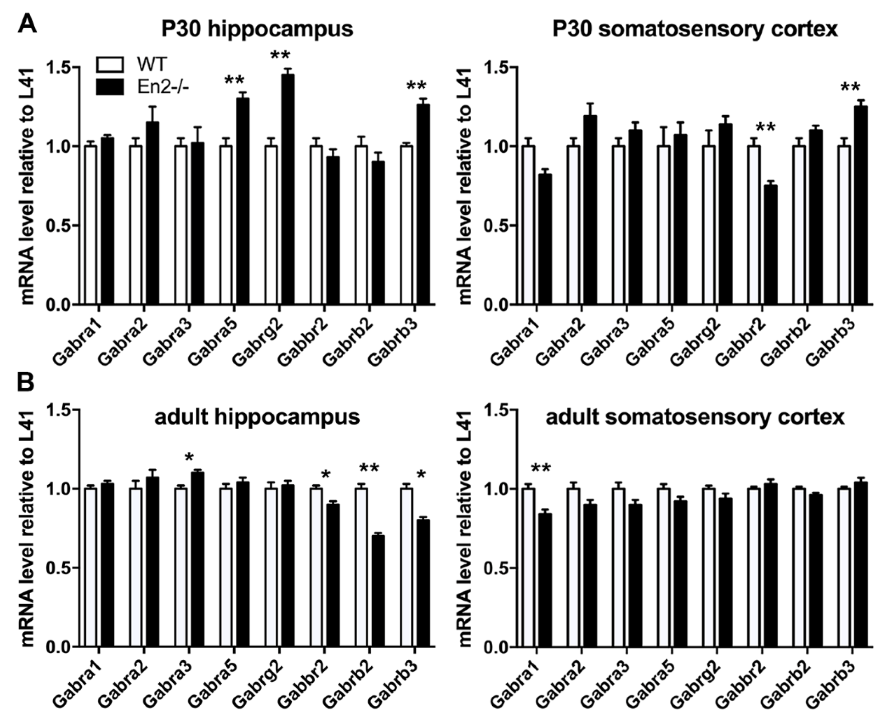 Genes 11 00384 g004 Genes 11 00384 g004