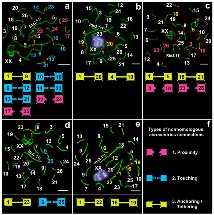 Genes 11 00386 g003 Genes 11 00386 g003