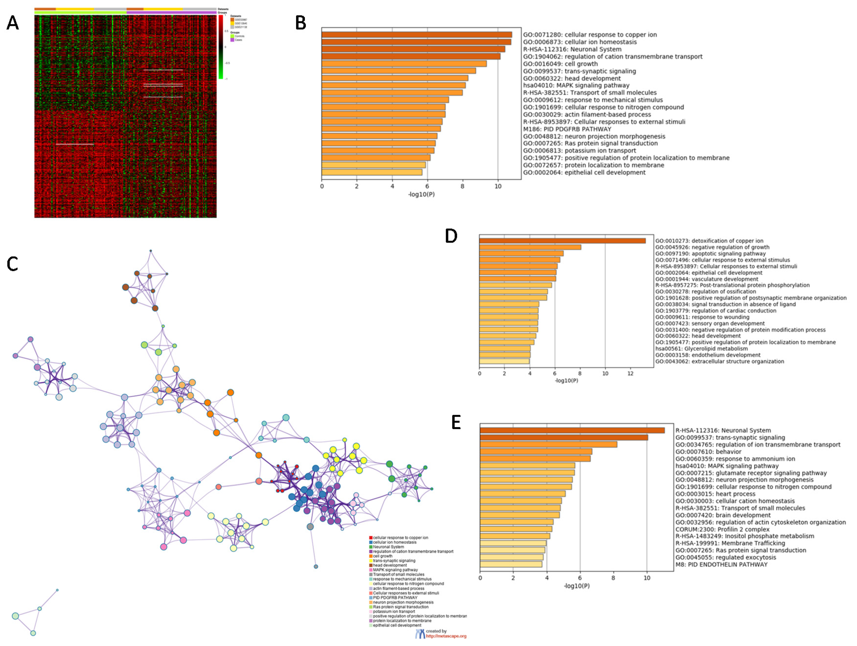 Genes 11 00390 g001 Genes 11 00390 g001