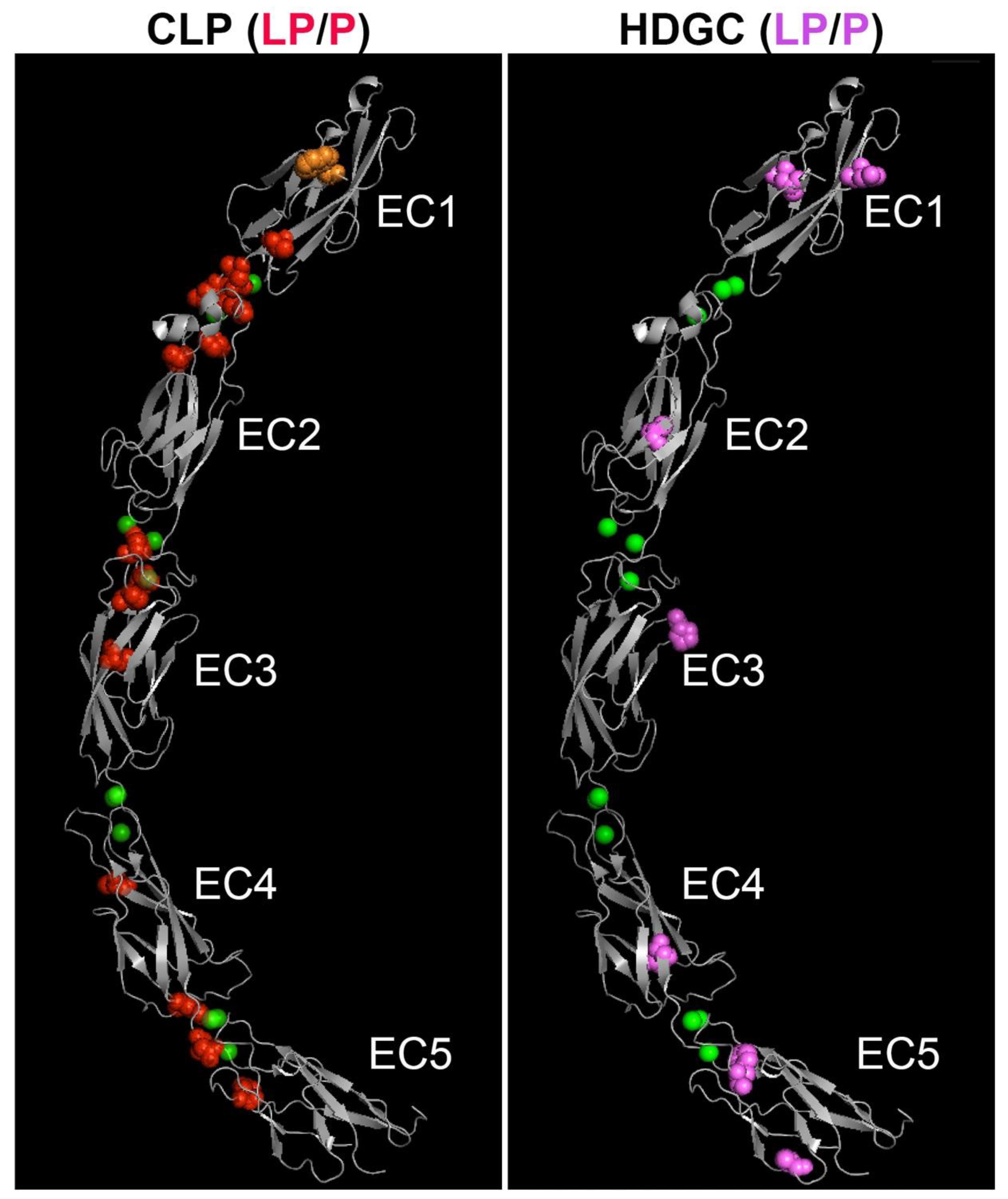 Genes 11 00391 g003 Genes 11 00391 g003