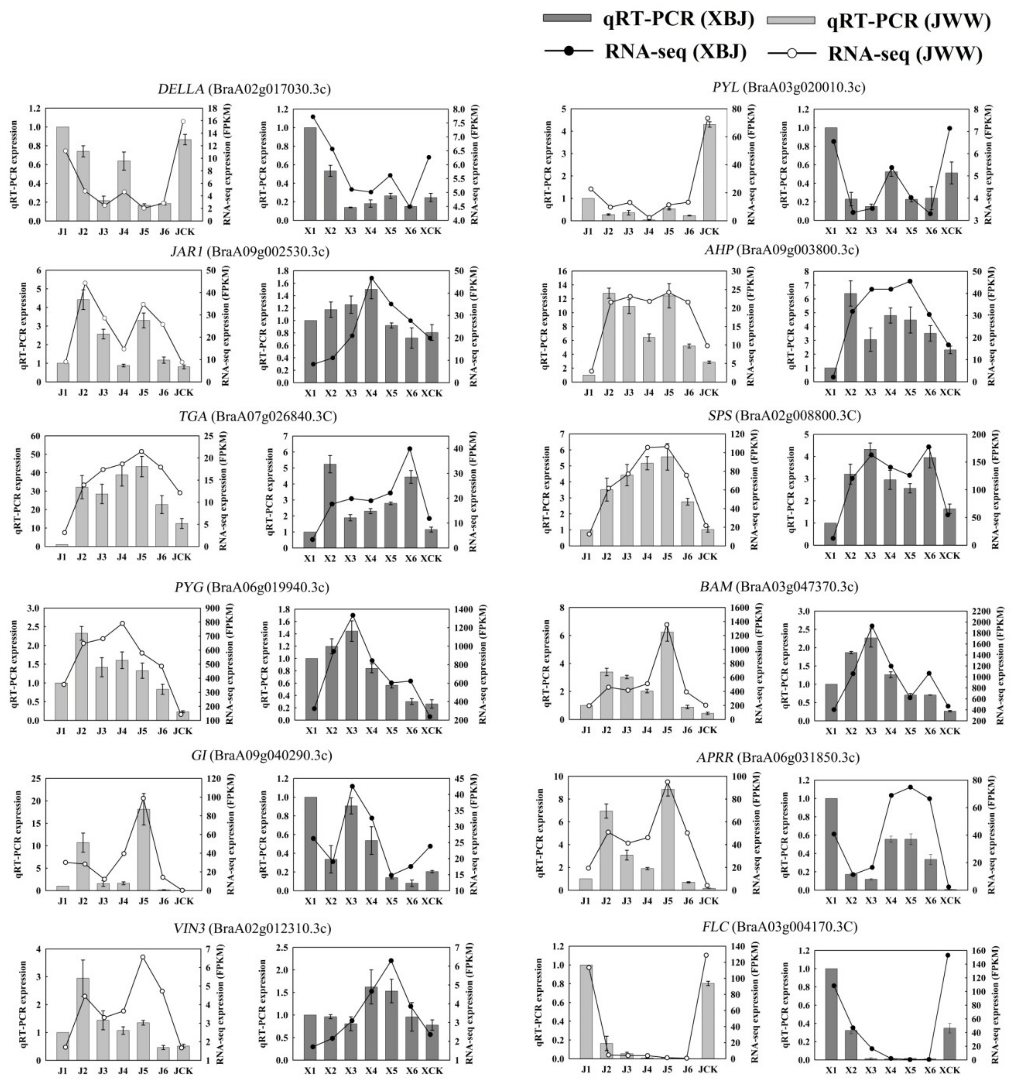 Genes 11 00392 g009 Genes 11 00392 g009