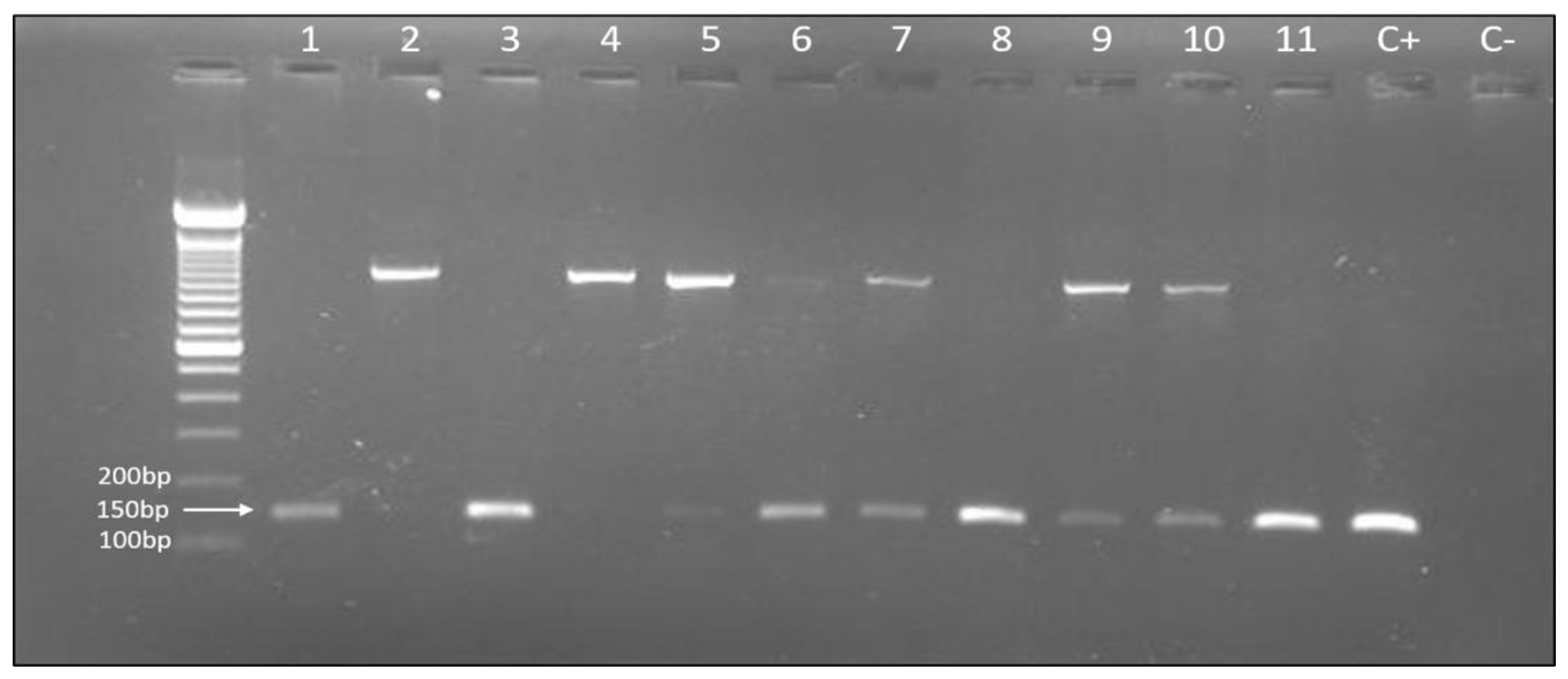 Genes 11 00393 g001