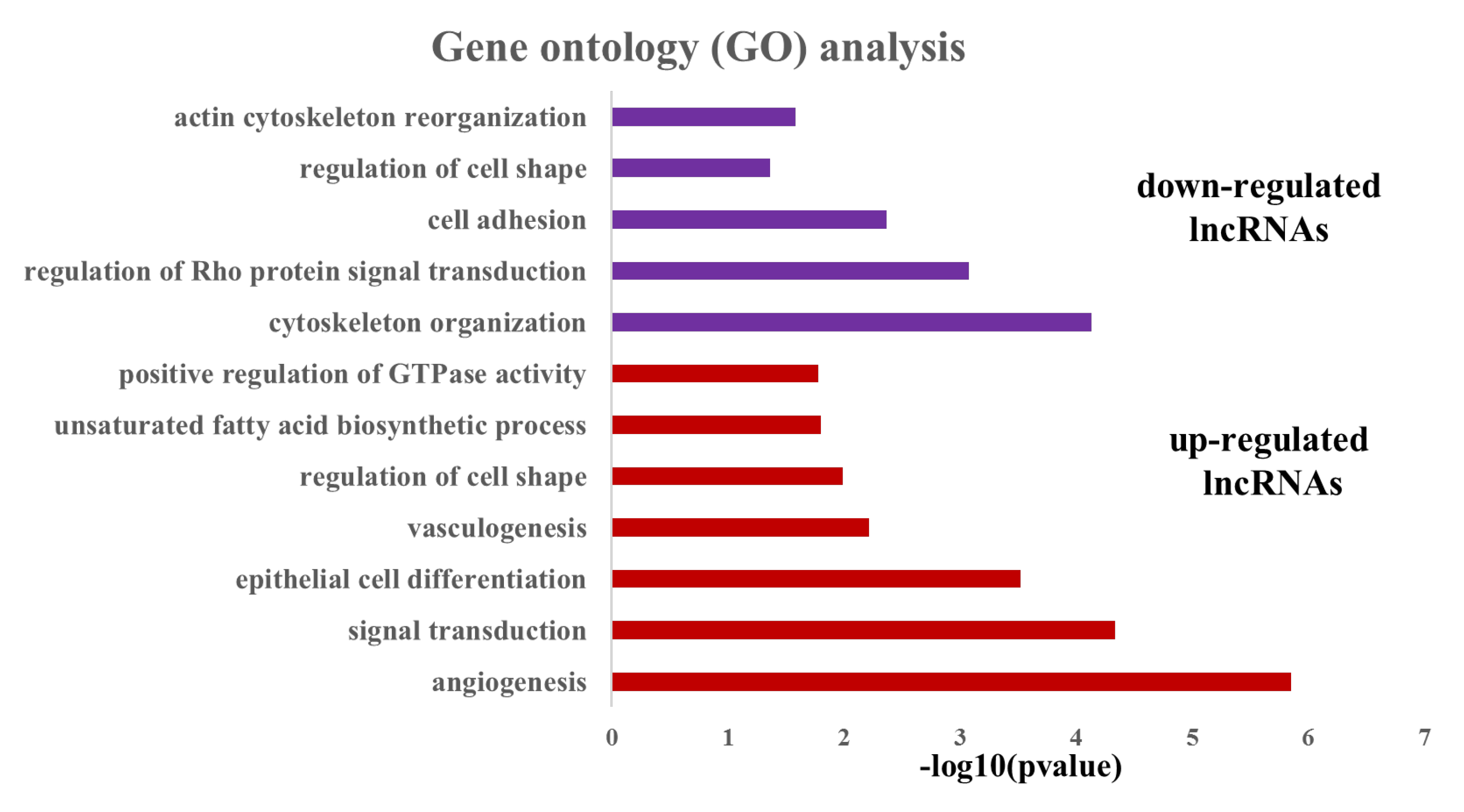 Genes 11 00397 g002 Genes 11 00397 g002