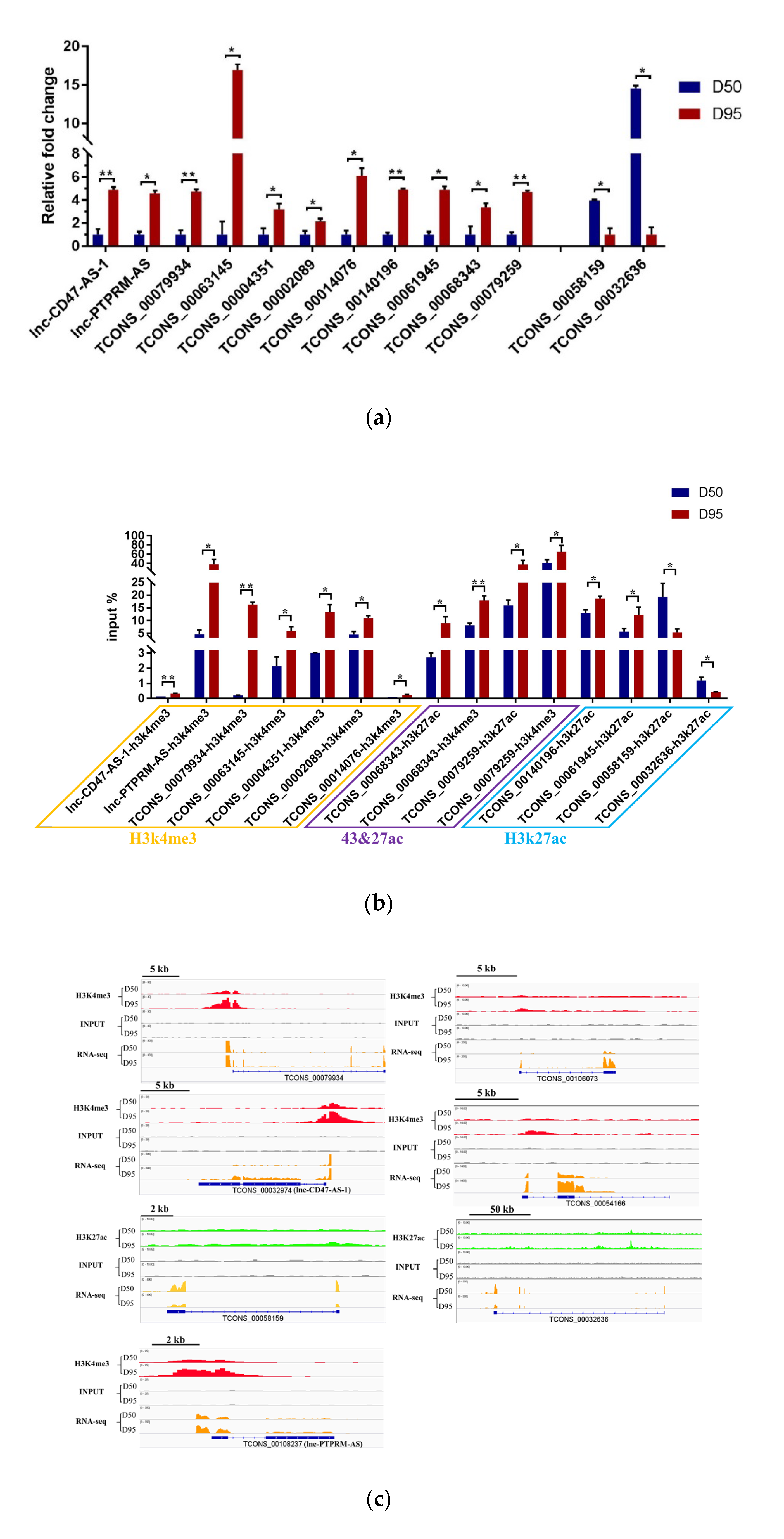 Genes 11 00397 g003a Genes 11 00397 g003a