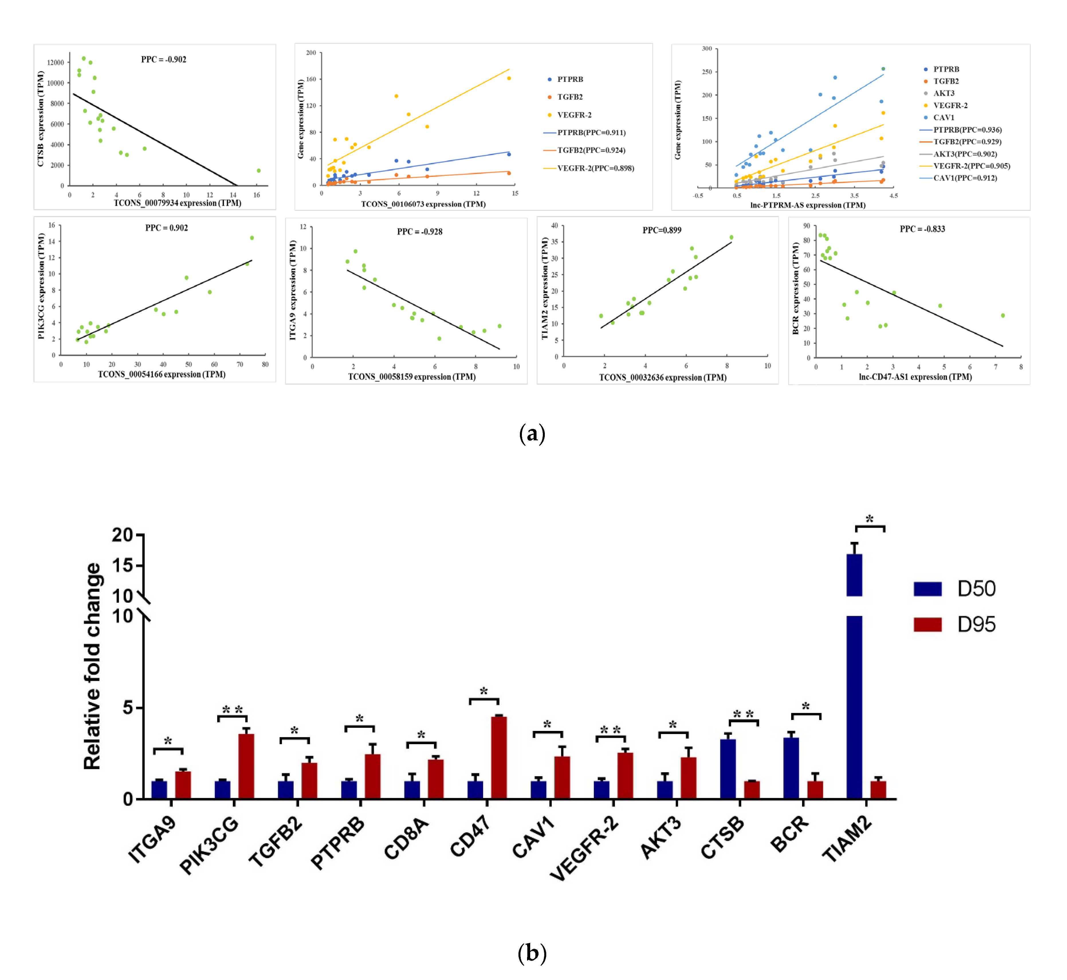 Genes 11 00397 g004 Genes 11 00397 g004