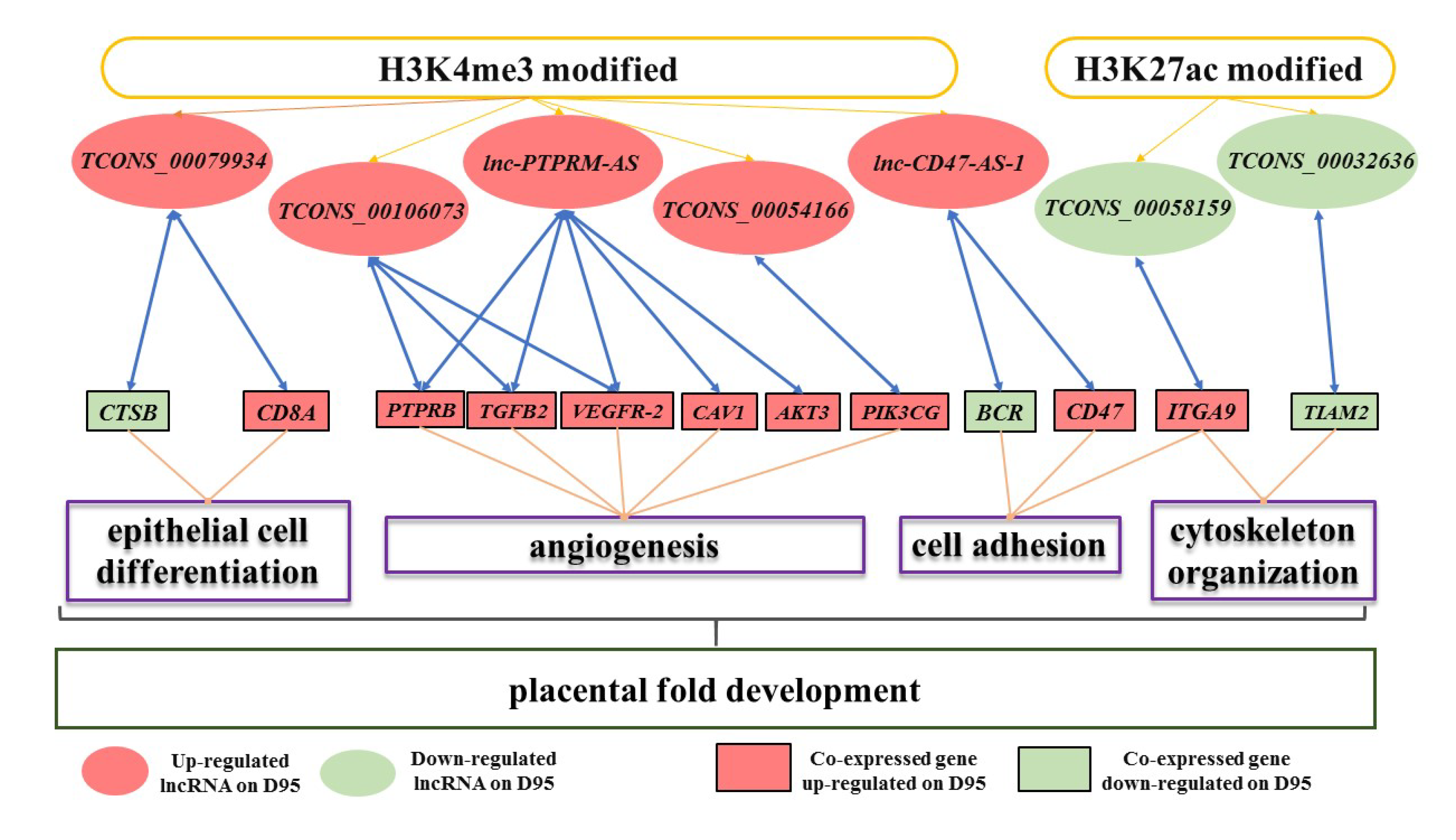 Genes 11 00397 g005 Genes 11 00397 g005