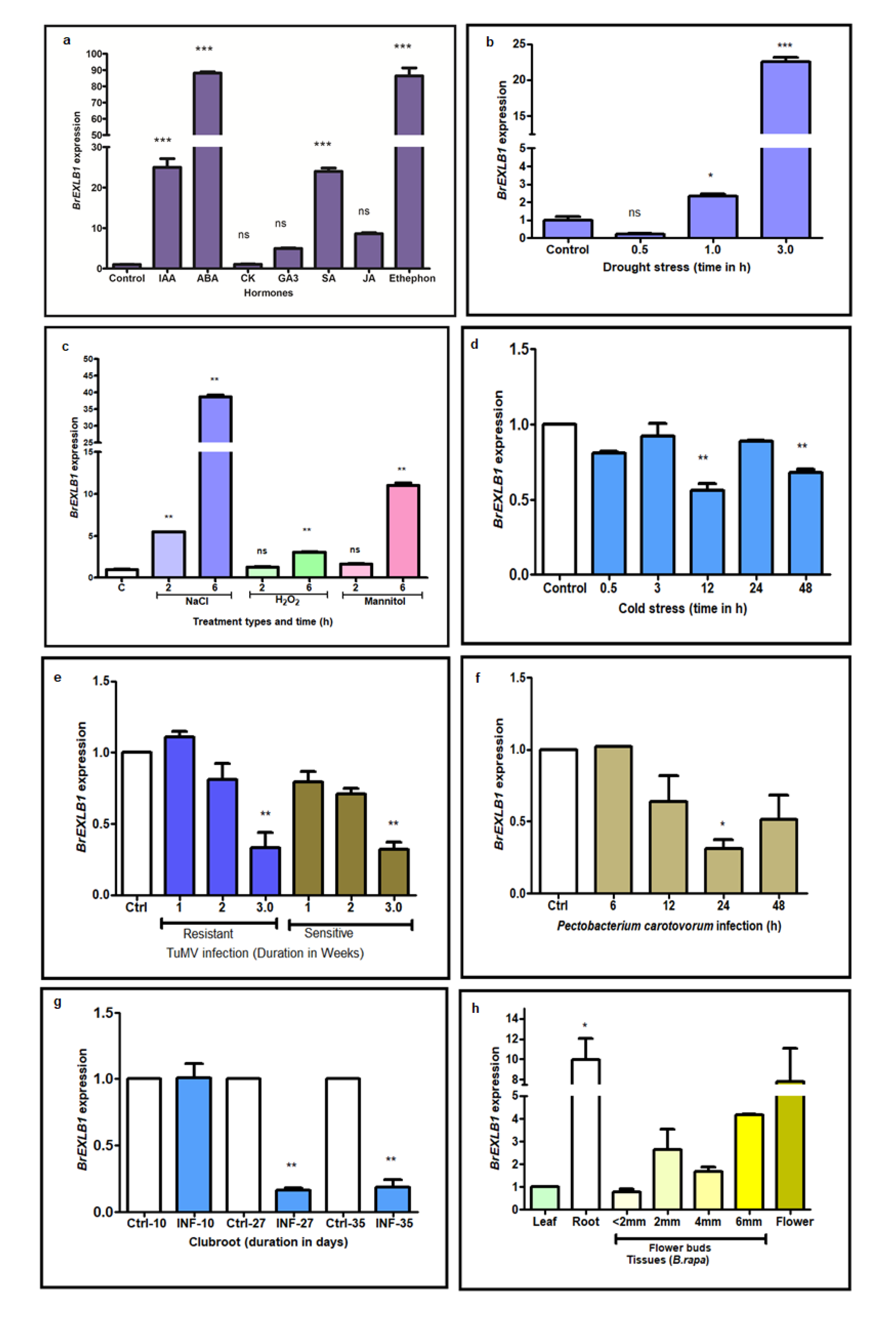 Genes 11 00404 g001 Genes 11 00404 g001