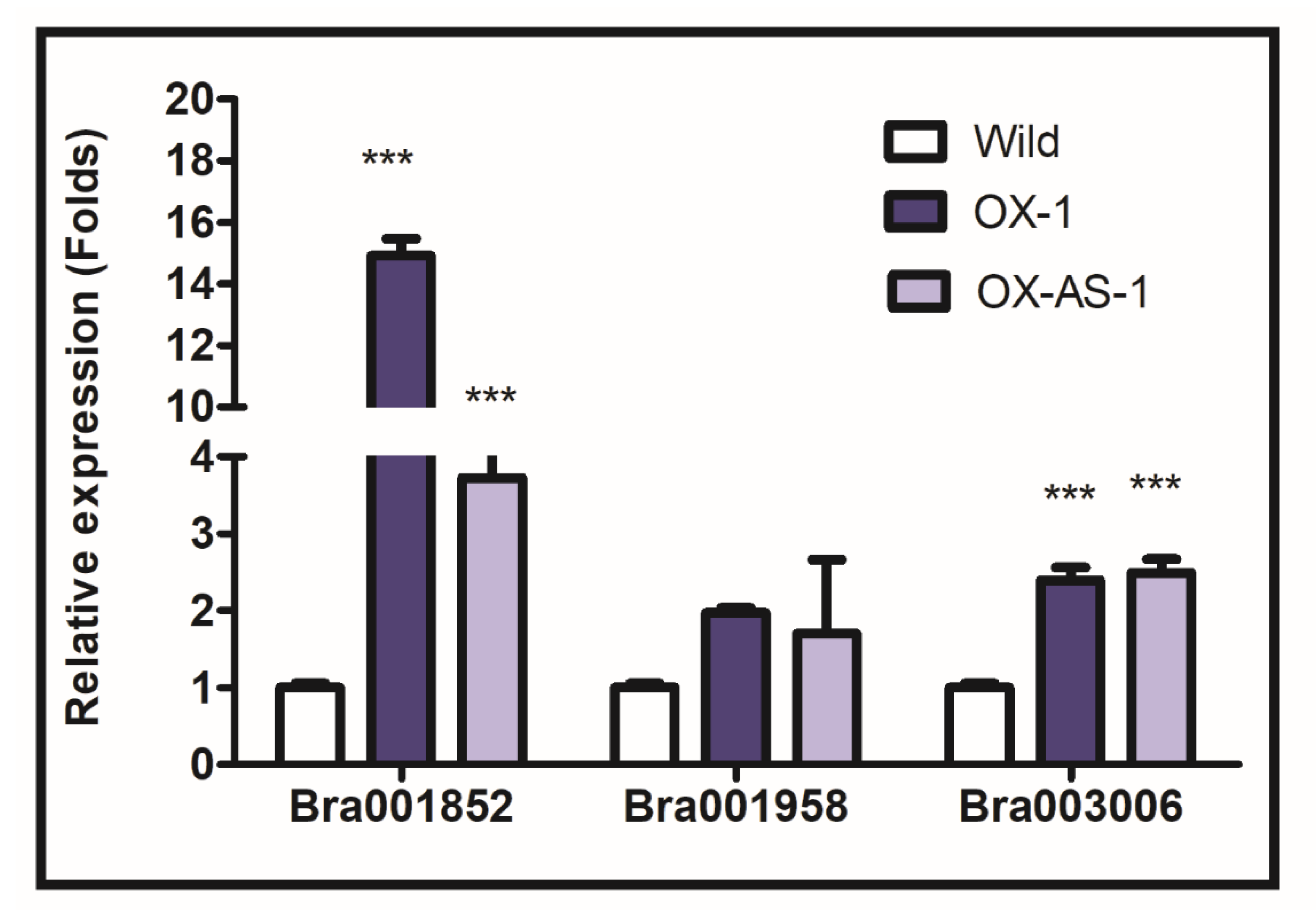 Genes 11 00404 g006 Genes 11 00404 g006