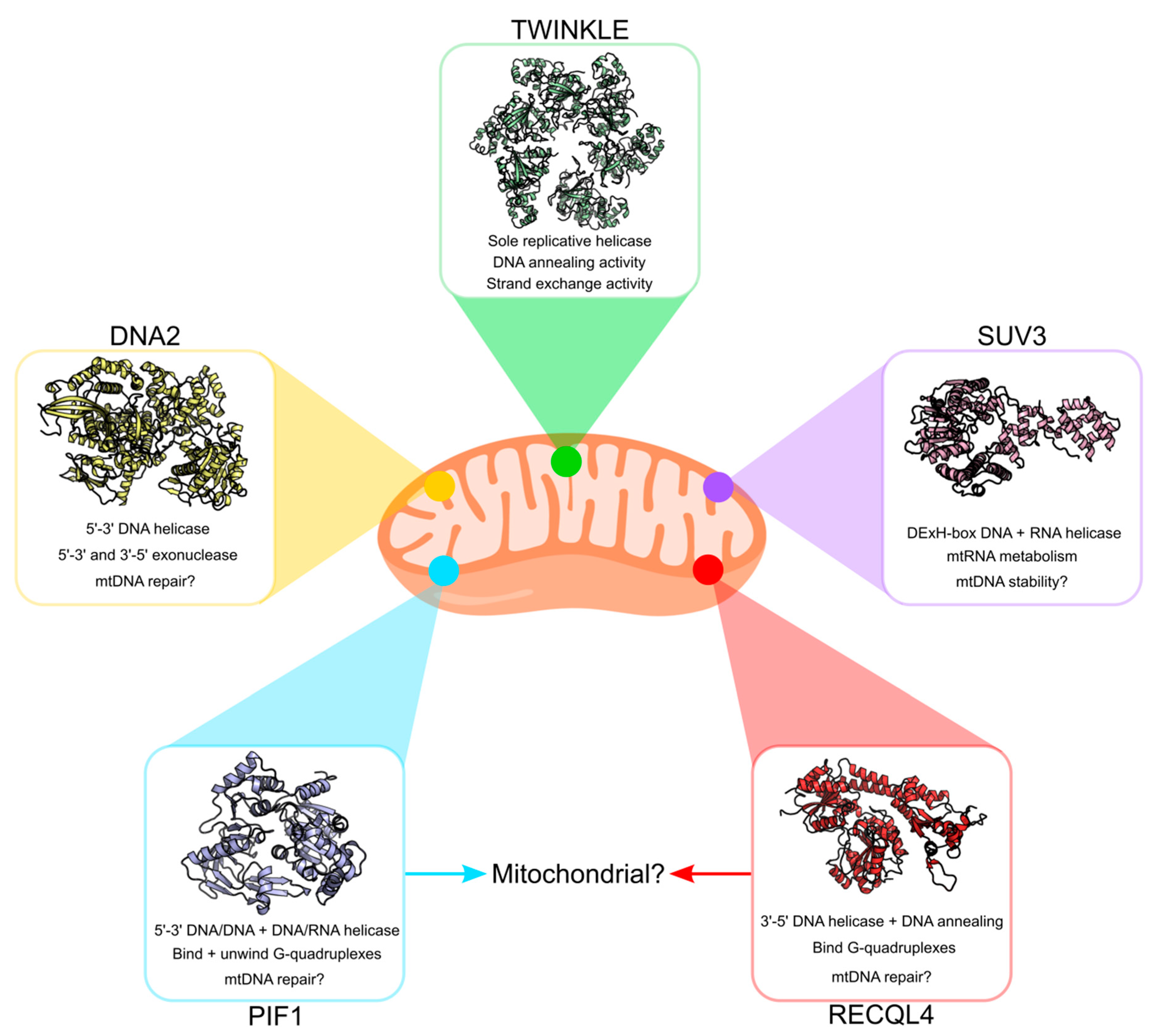 Genes 11 00408 g006 Genes 11 00408 g006
