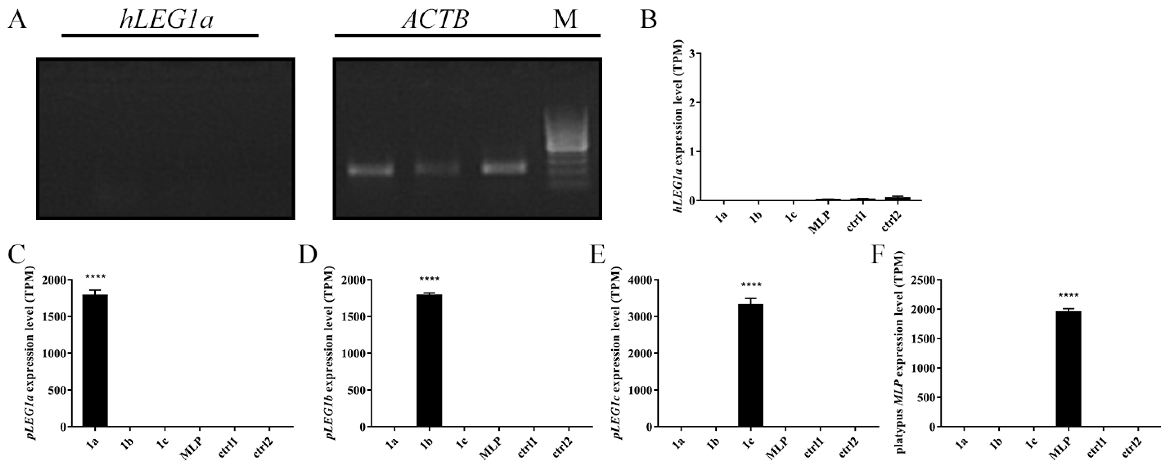 Genes 11 00412 g001 Genes 11 00412 g001