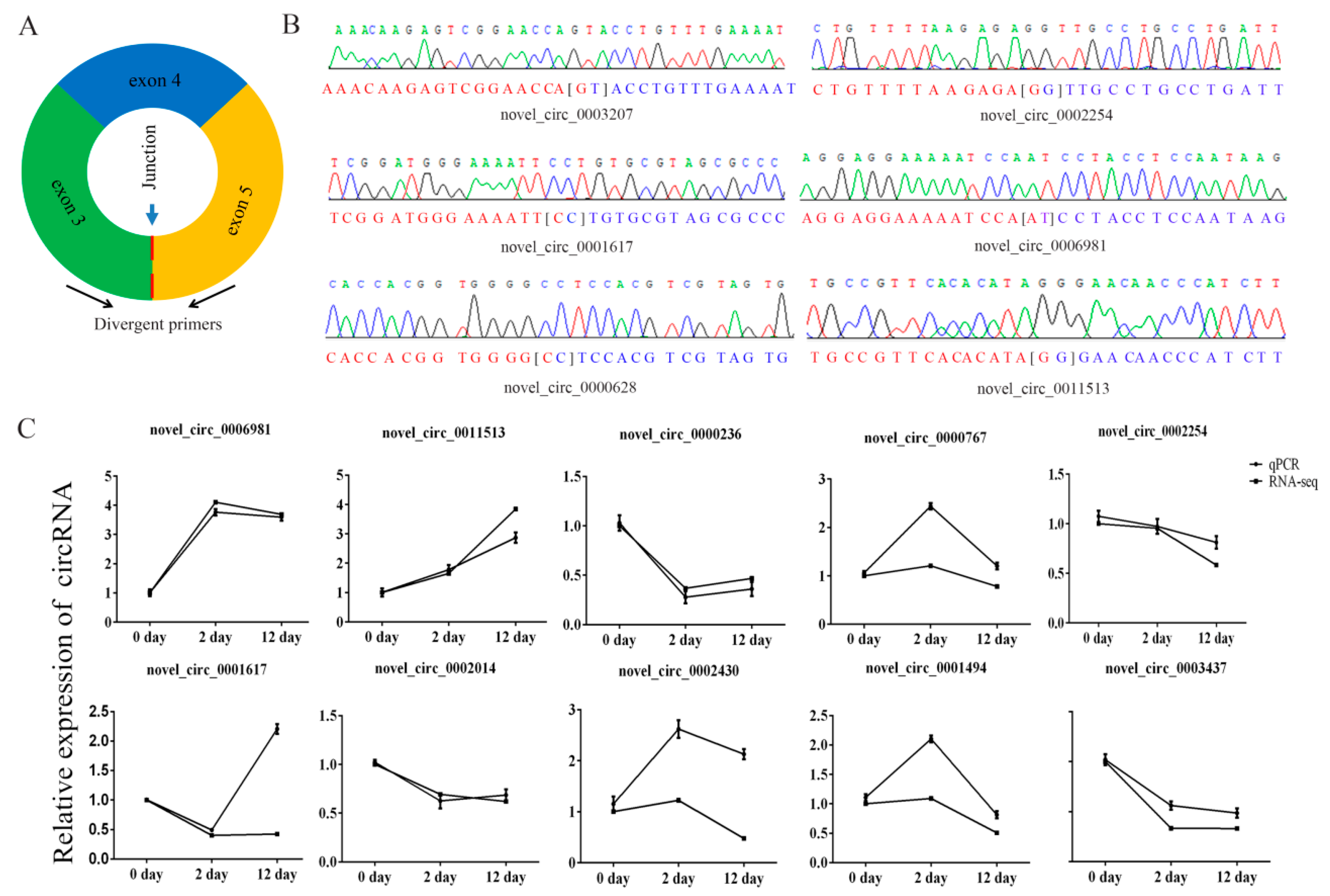 Genes 11 00414 g005 Genes 11 00414 g005