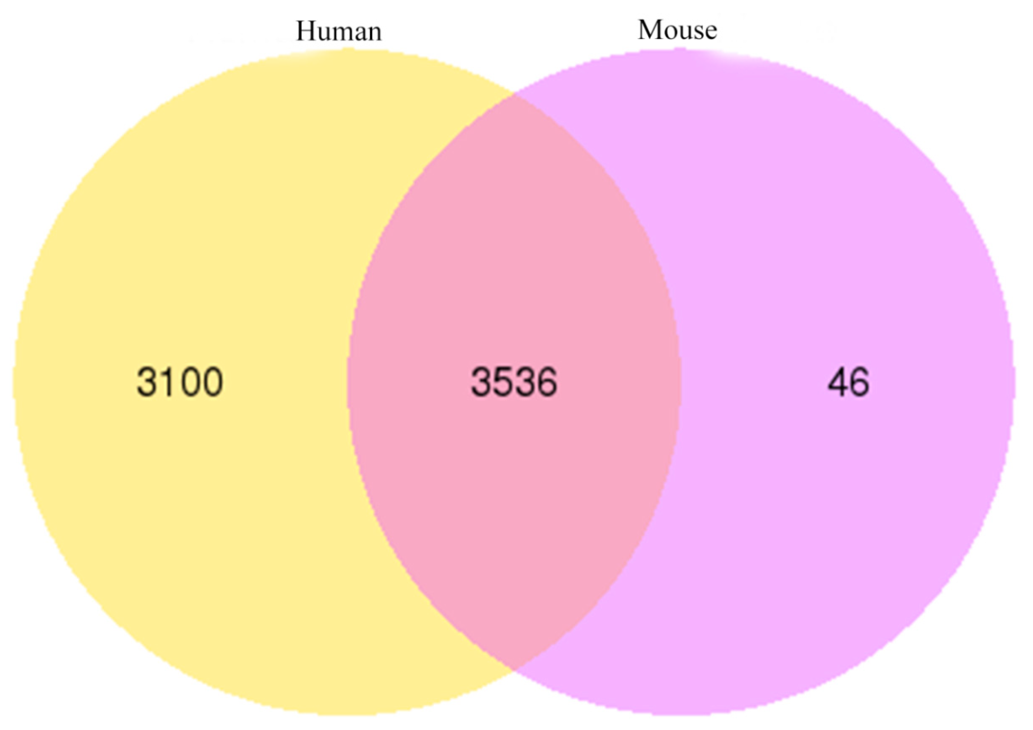 Genes 11 00414 g008 Genes 11 00414 g008