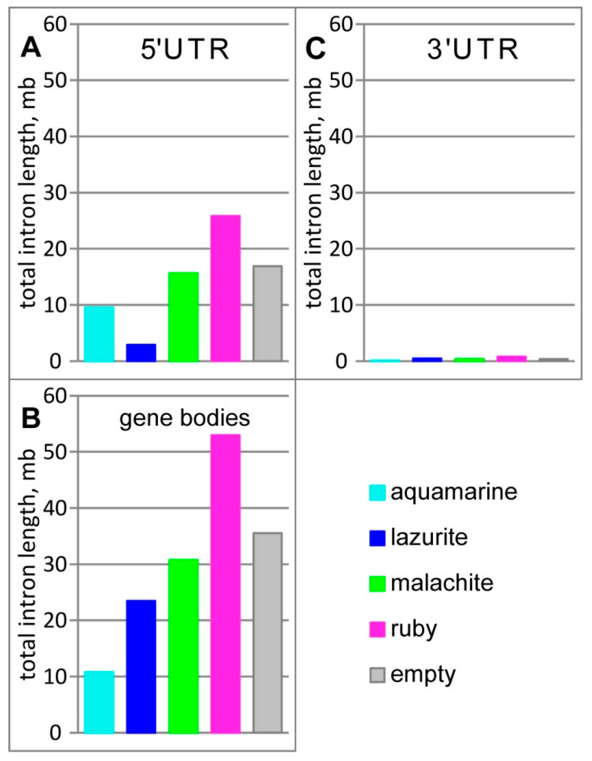 Genes 11 00417 g004 Genes 11 00417 g004