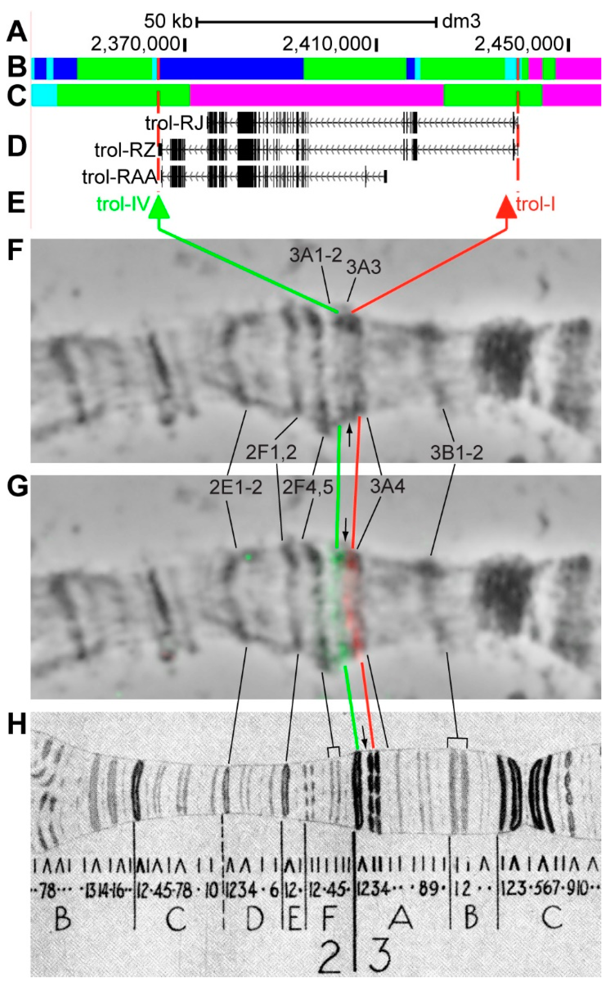Genes 11 00417 g010 Genes 11 00417 g010