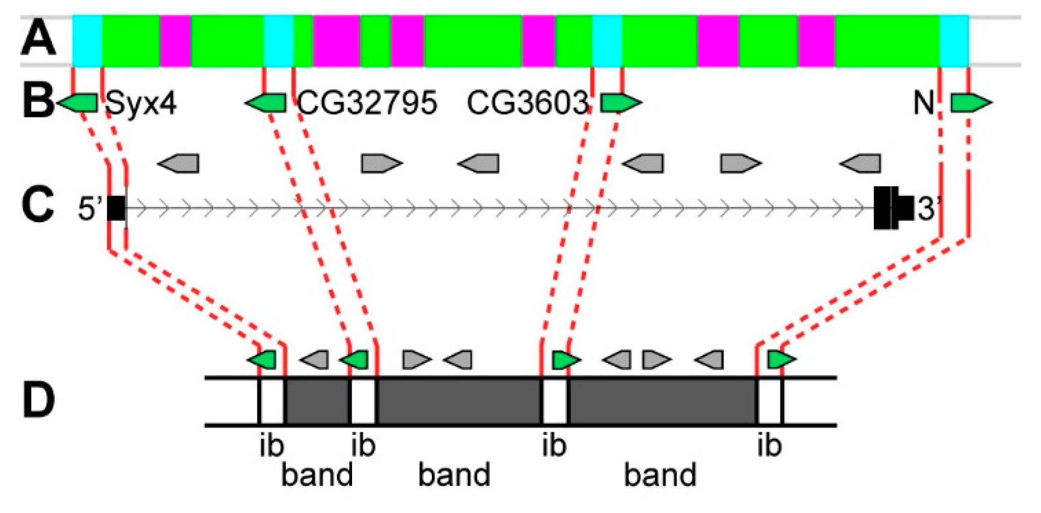 Genes 11 00417 g023 Genes 11 00417 g023