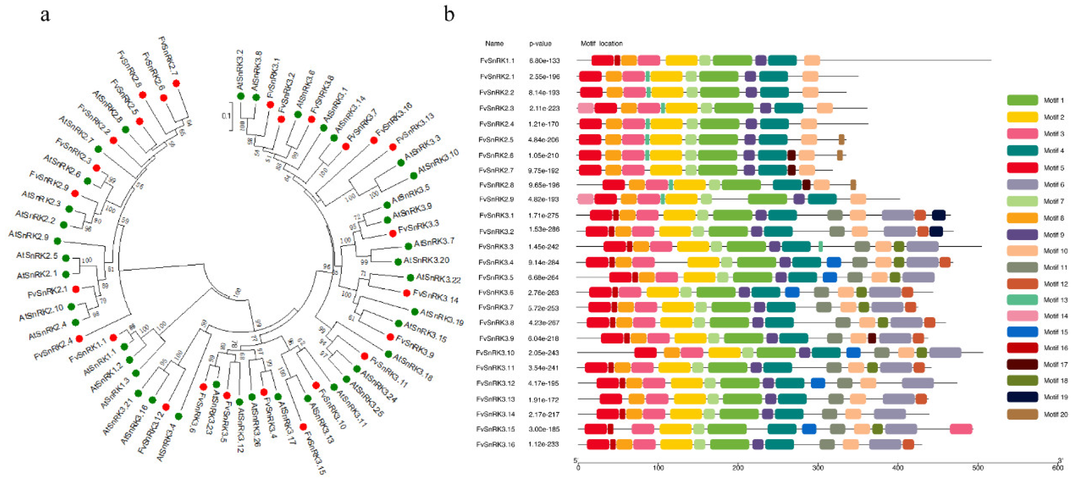 Genes 11 00427 g002 Genes 11 00427 g002