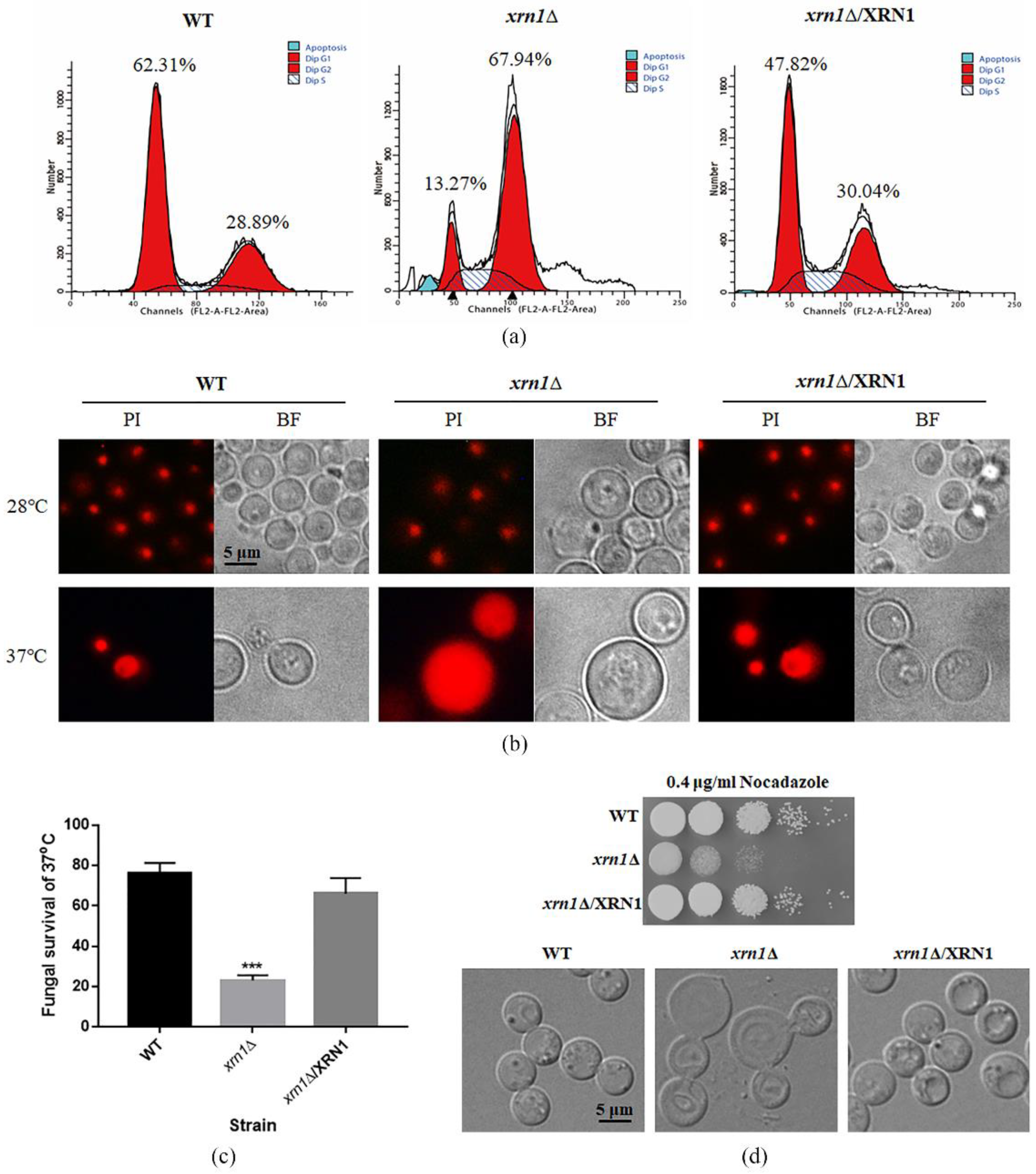 Genes 11 00430 g004 Genes 11 00430 g004