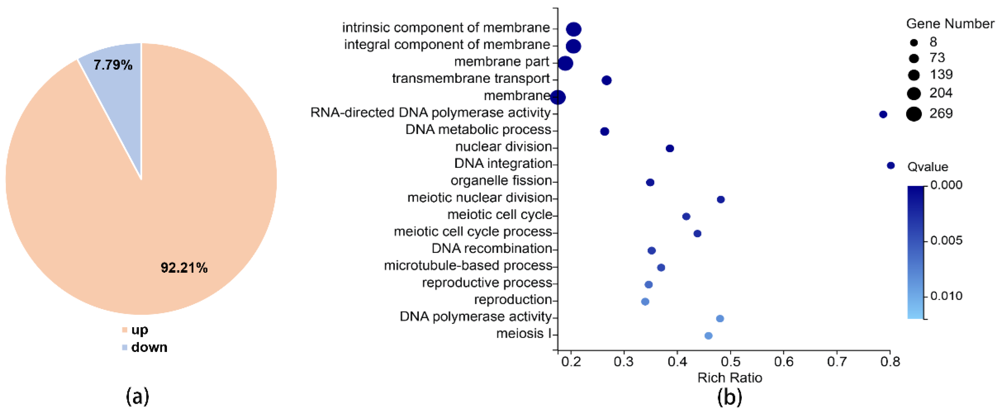Genes 11 00430 g005 Genes 11 00430 g005