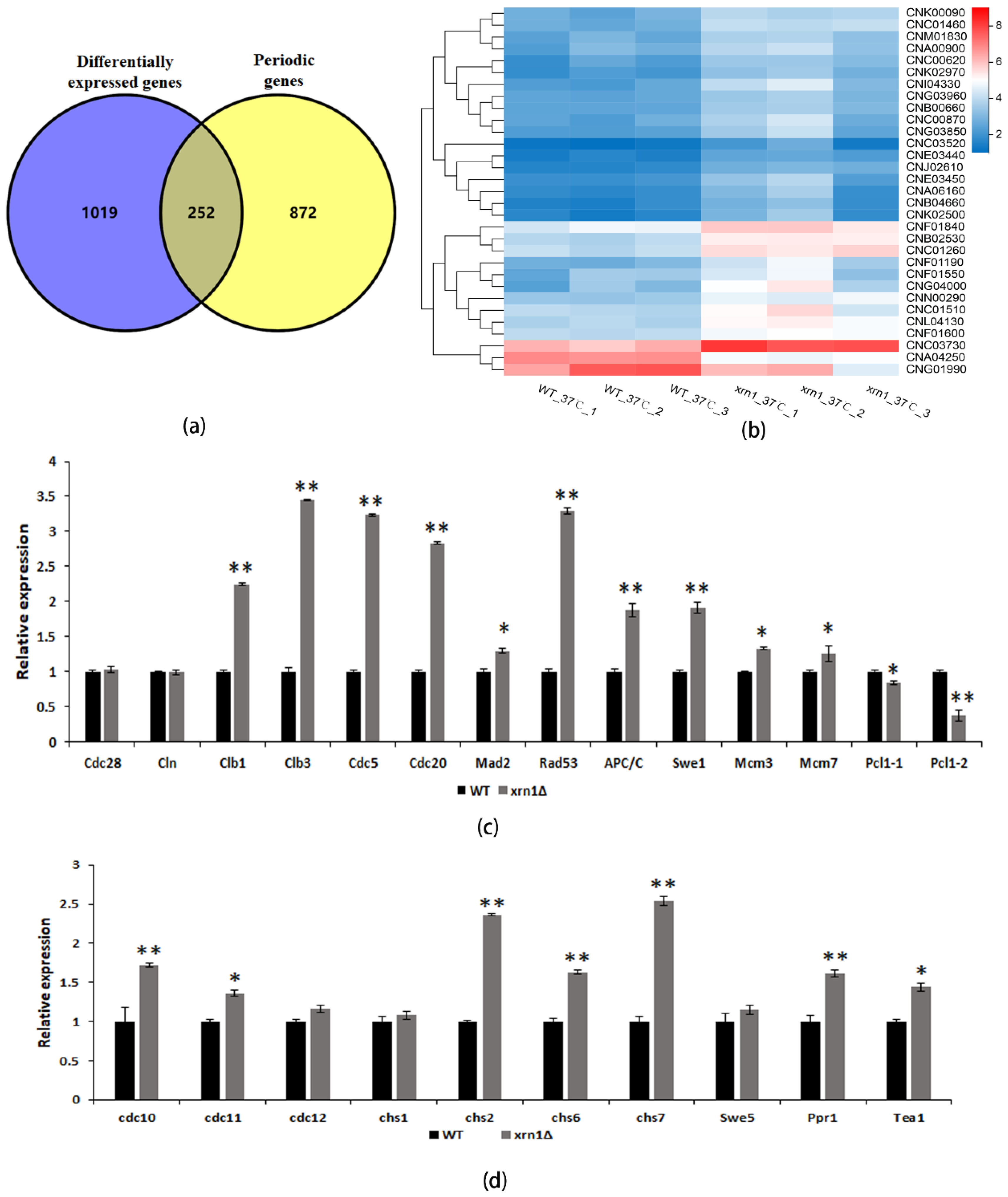 Genes 11 00430 g006 Genes 11 00430 g006