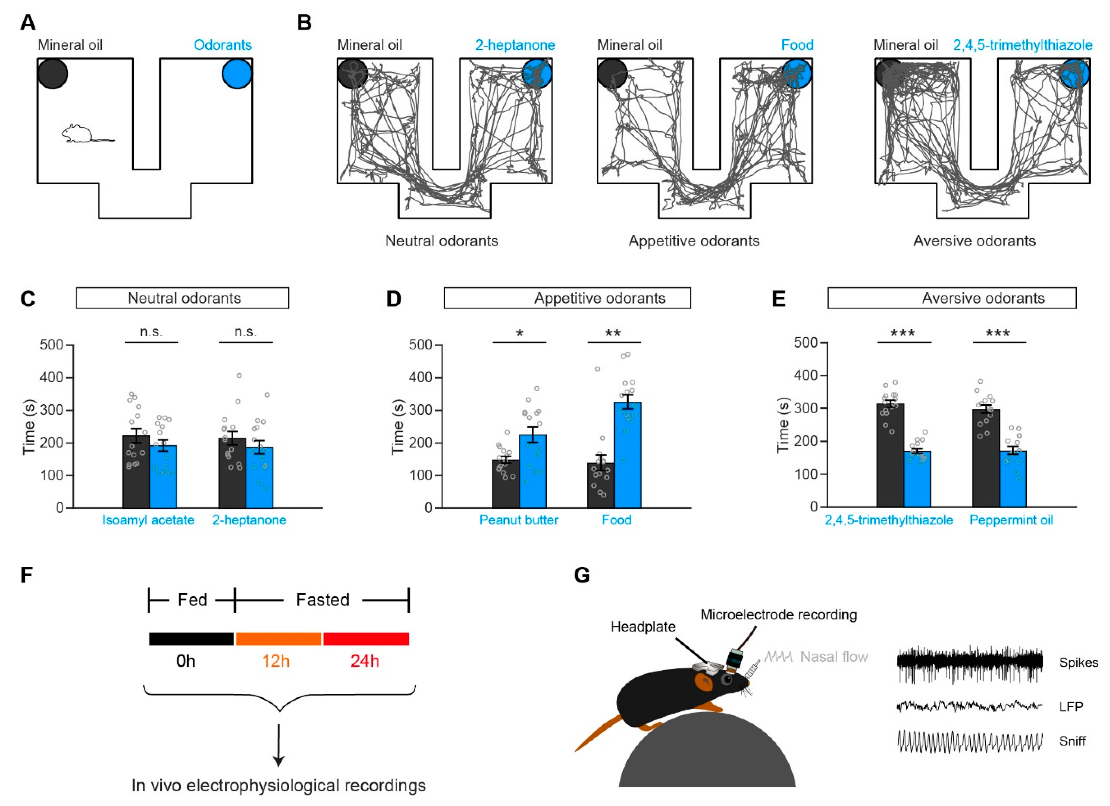 Genes 11 00433 g001