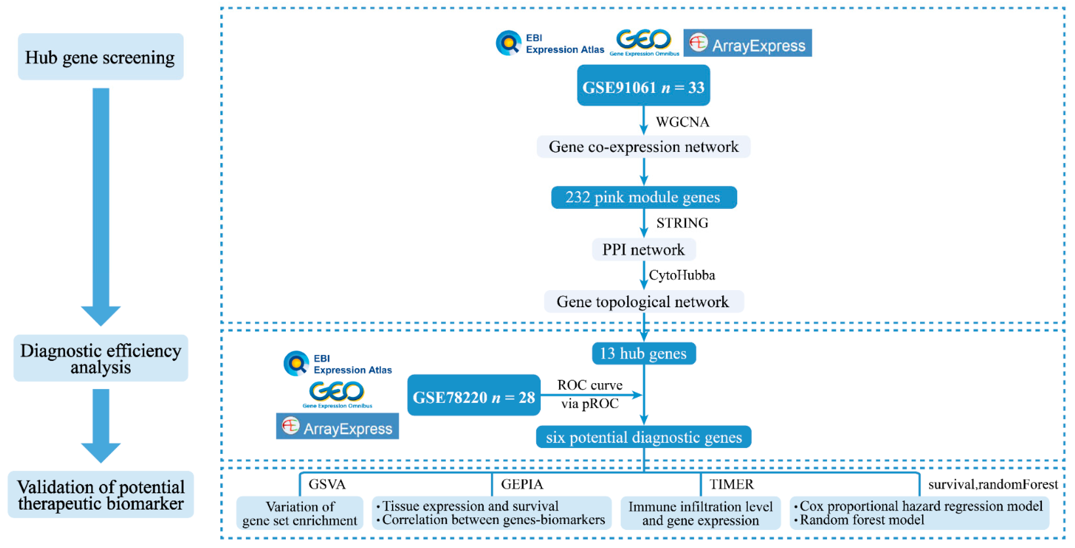 Genes 11 00435 g001 Genes 11 00435 g001