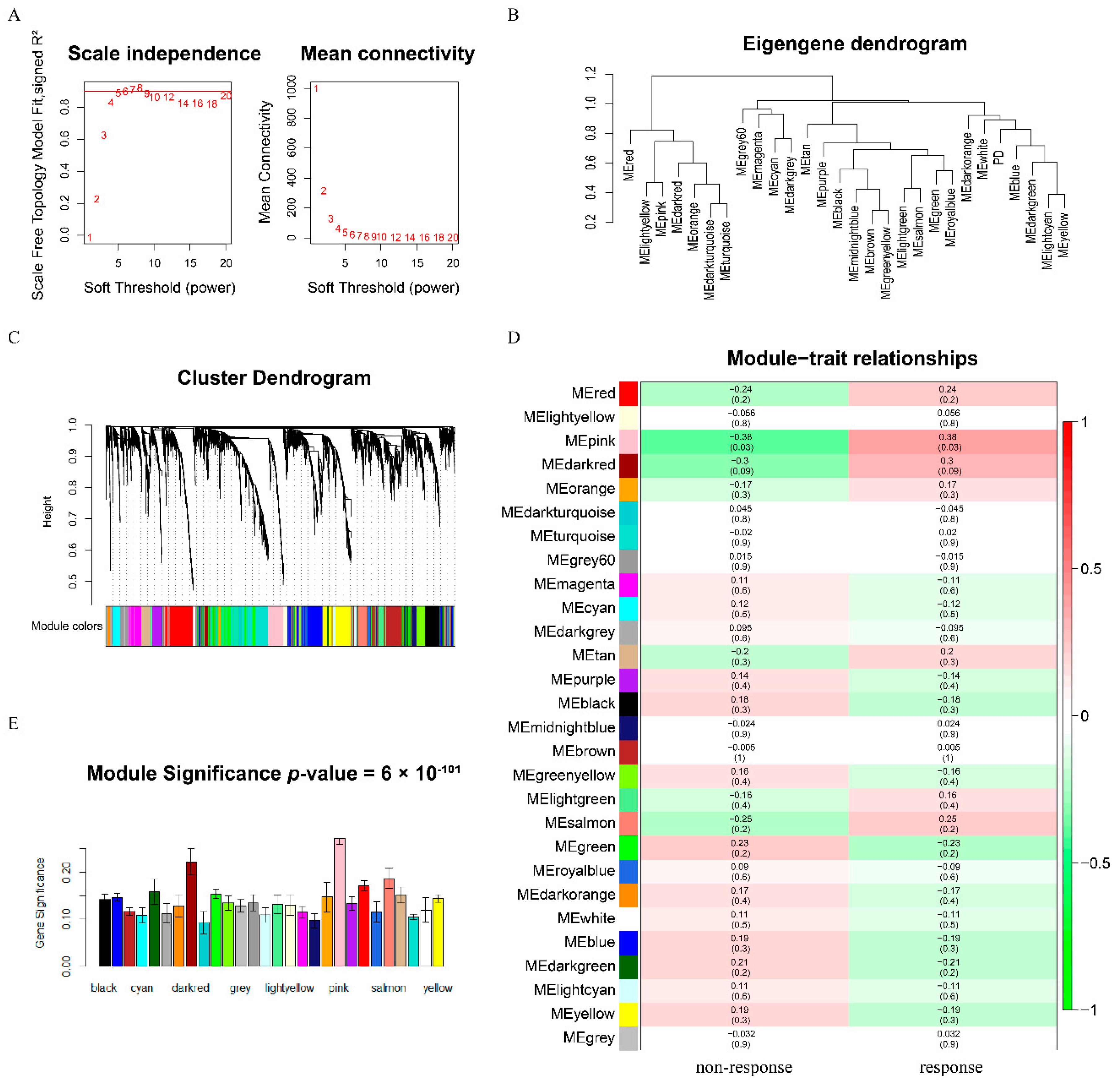 Genes 11 00435 g002 Genes 11 00435 g002