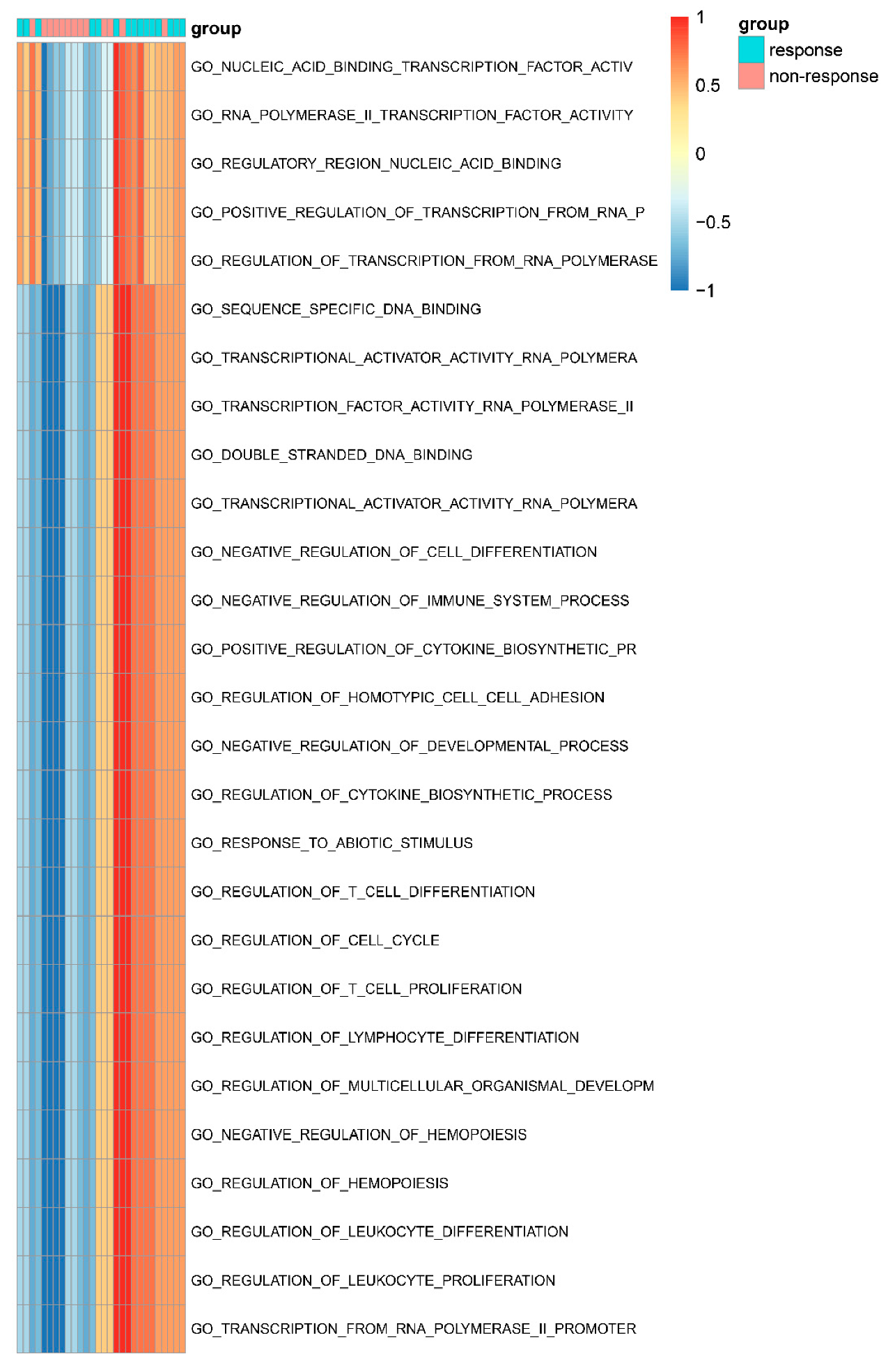 Genes 11 00435 g006 Genes 11 00435 g006