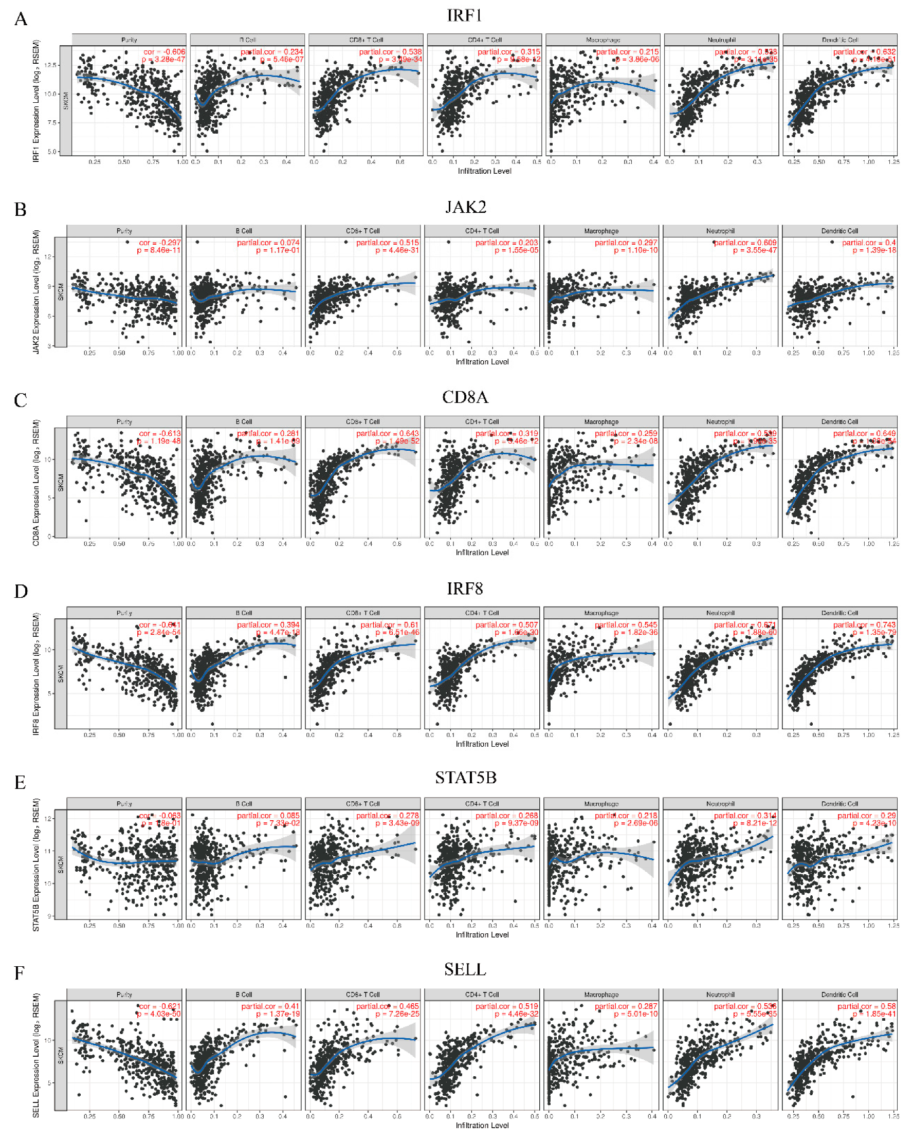 Genes 11 00435 g007 Genes 11 00435 g007