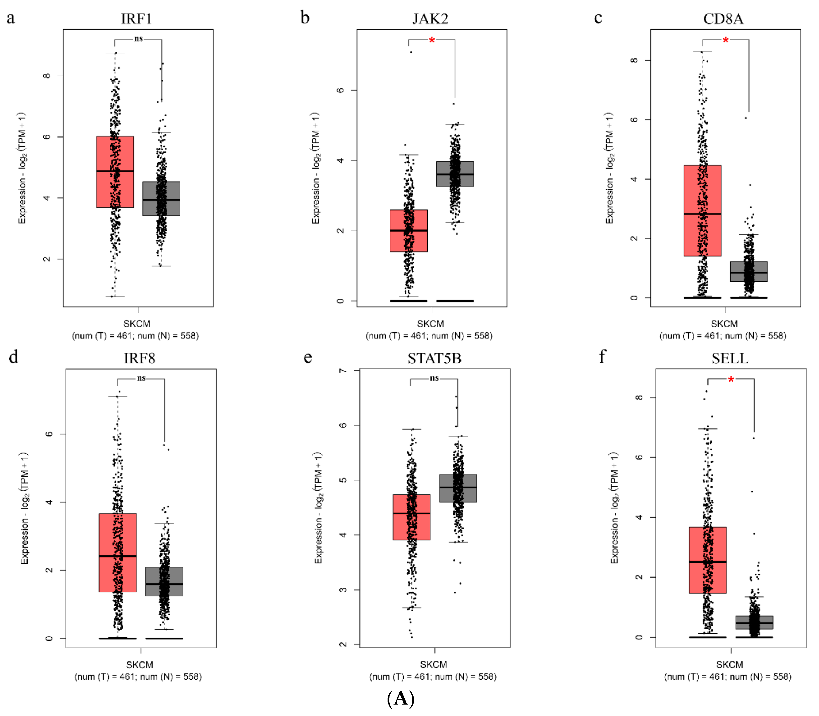 Genes 11 00435 g008a Genes 11 00435 g008a