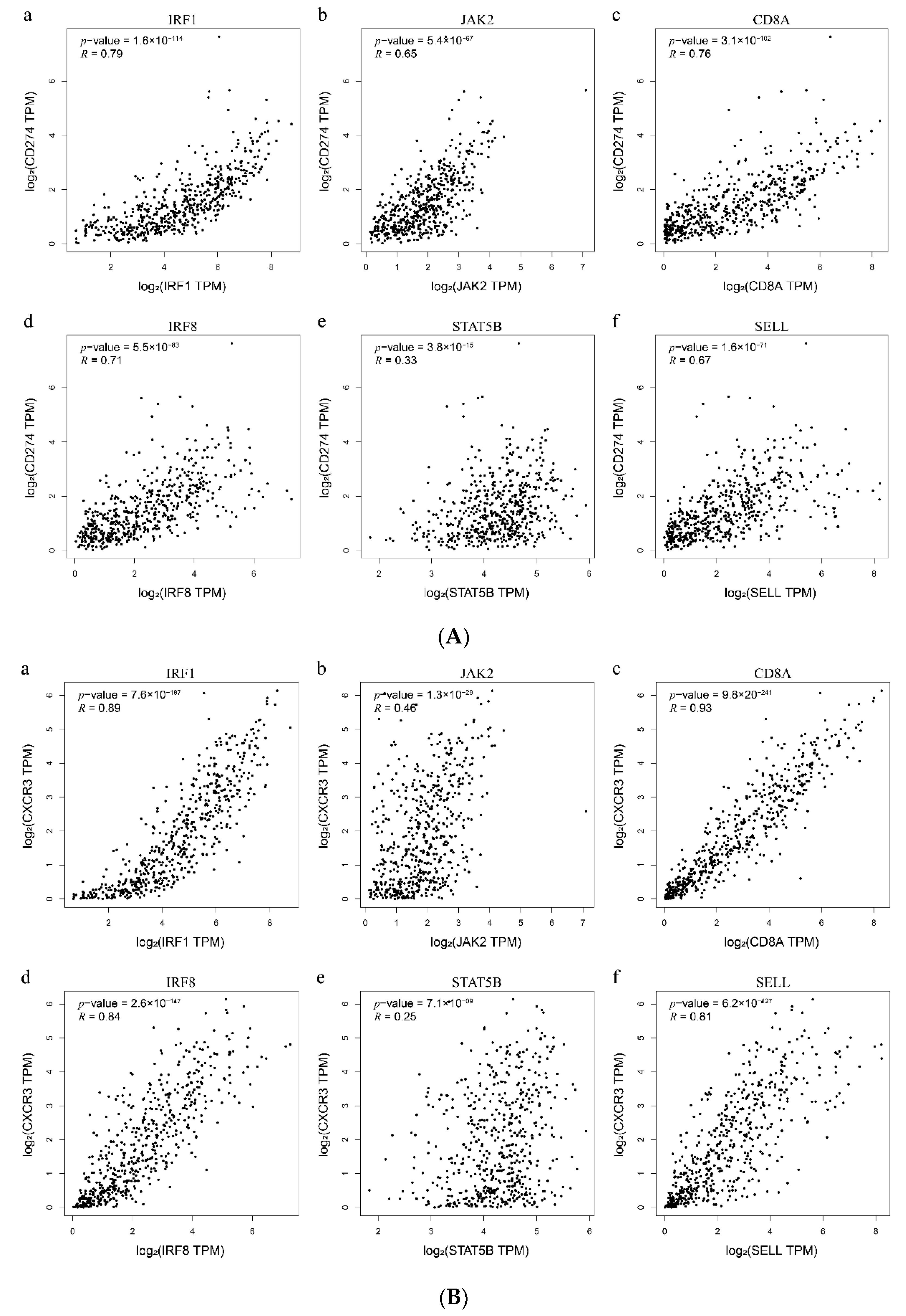 Genes 11 00435 g009a Genes 11 00435 g009a