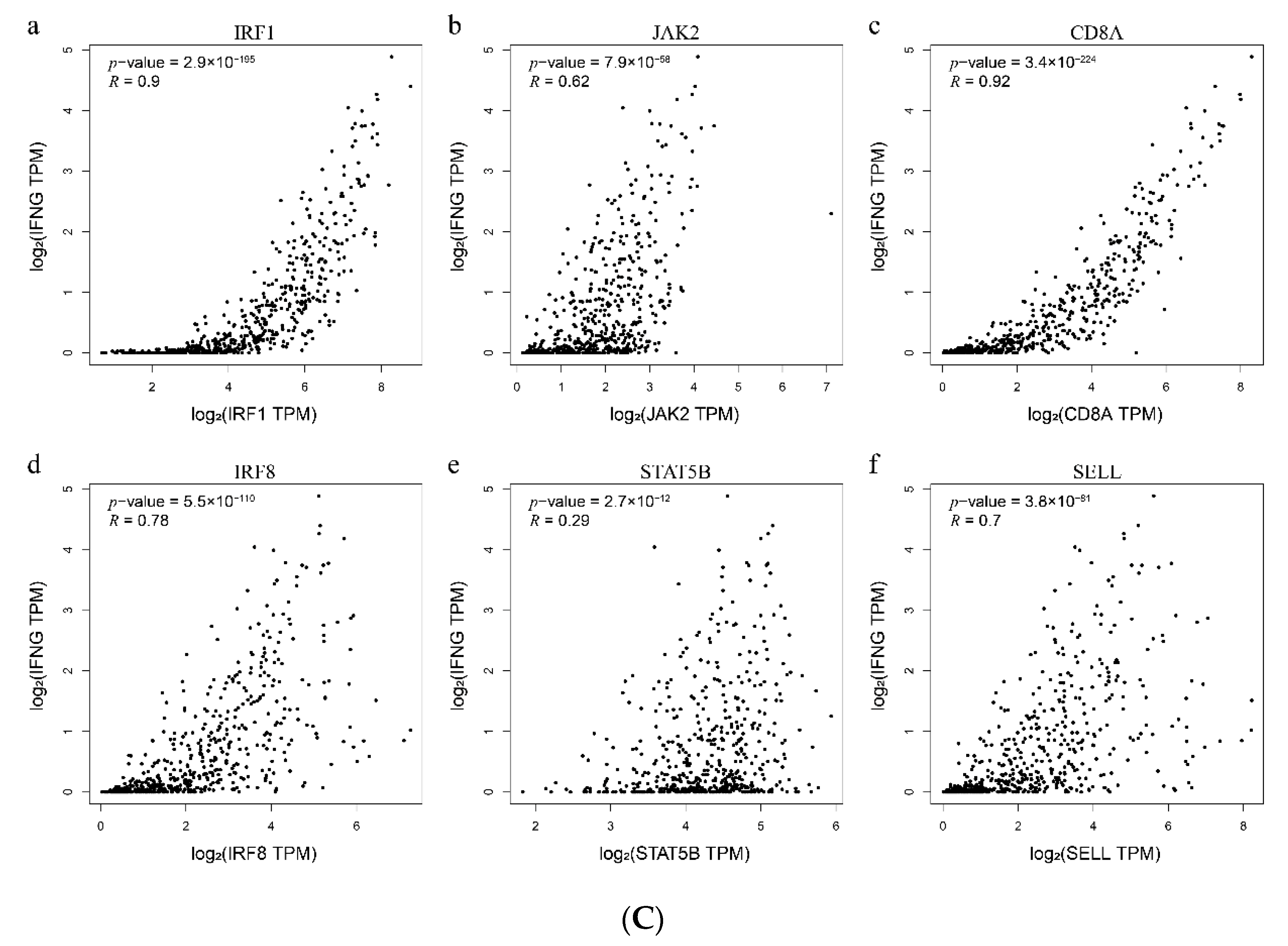 Genes 11 00435 g009b Genes 11 00435 g009b