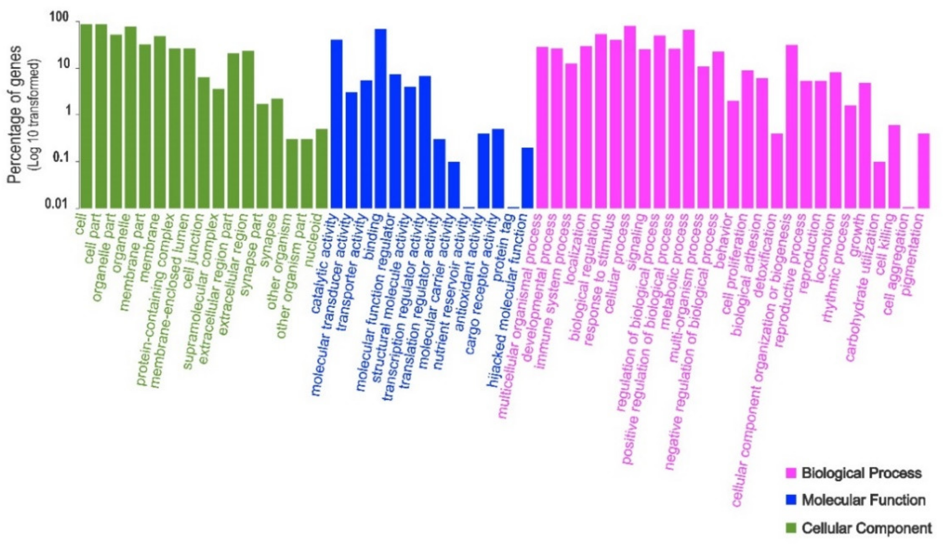 De Novo Transcriptome Assembly and Functional Annotation in Five Species of  Bats