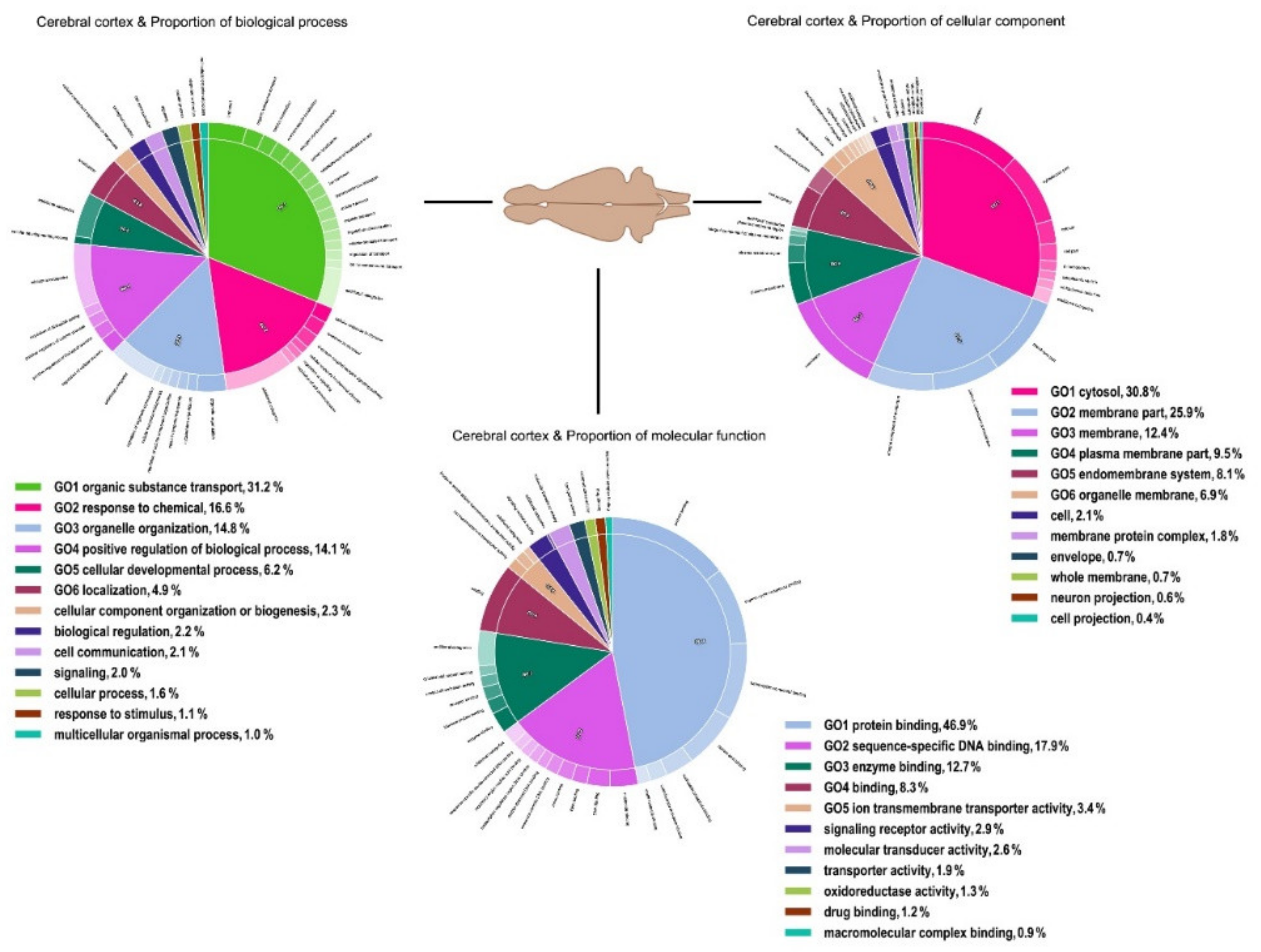 Genes 11 00436 g006 Genes 11 00436 g006