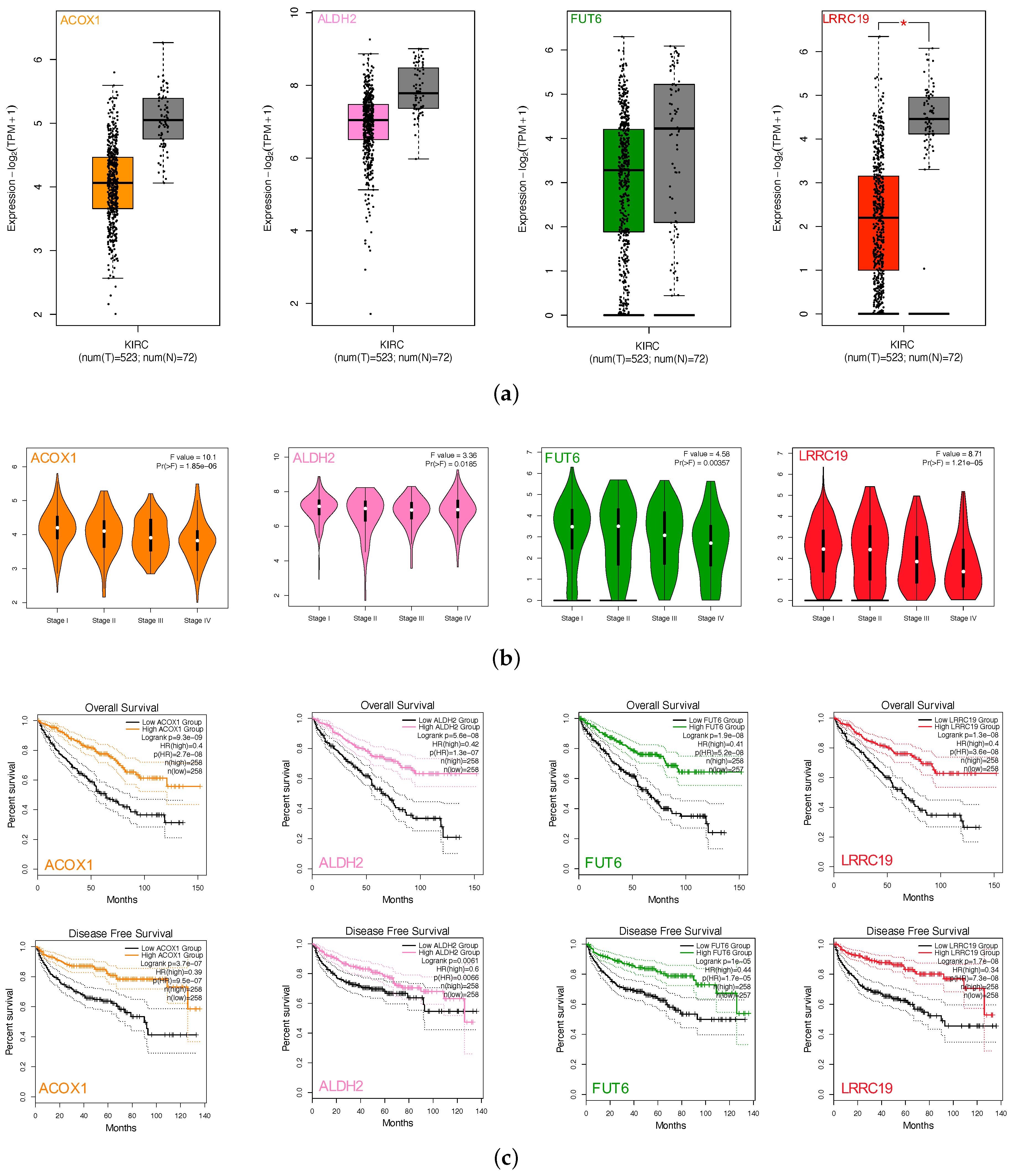 Genes 11 00440 g005a