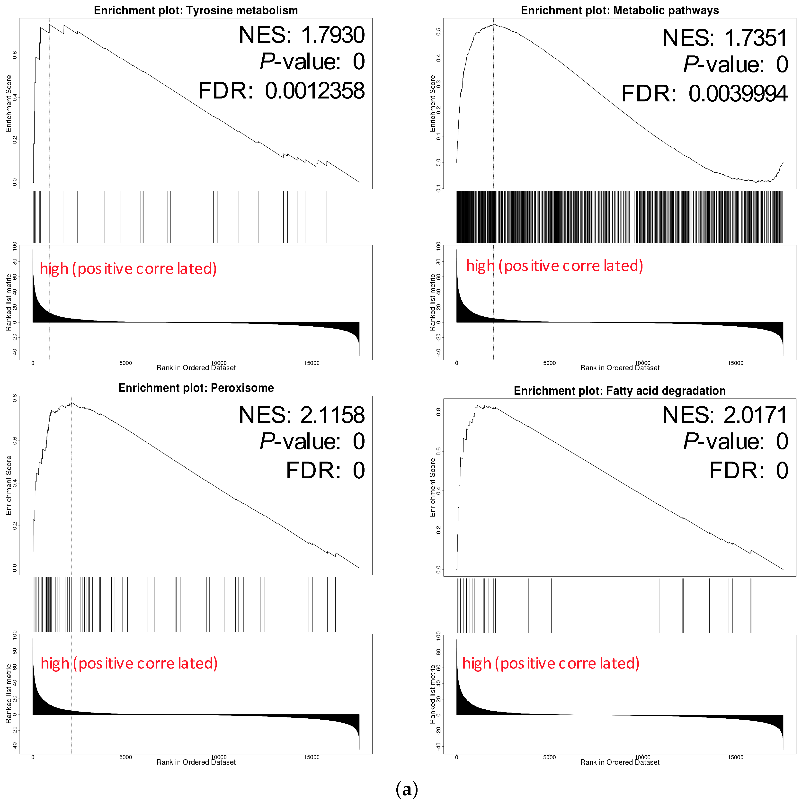 Genes 11 00440 g007a