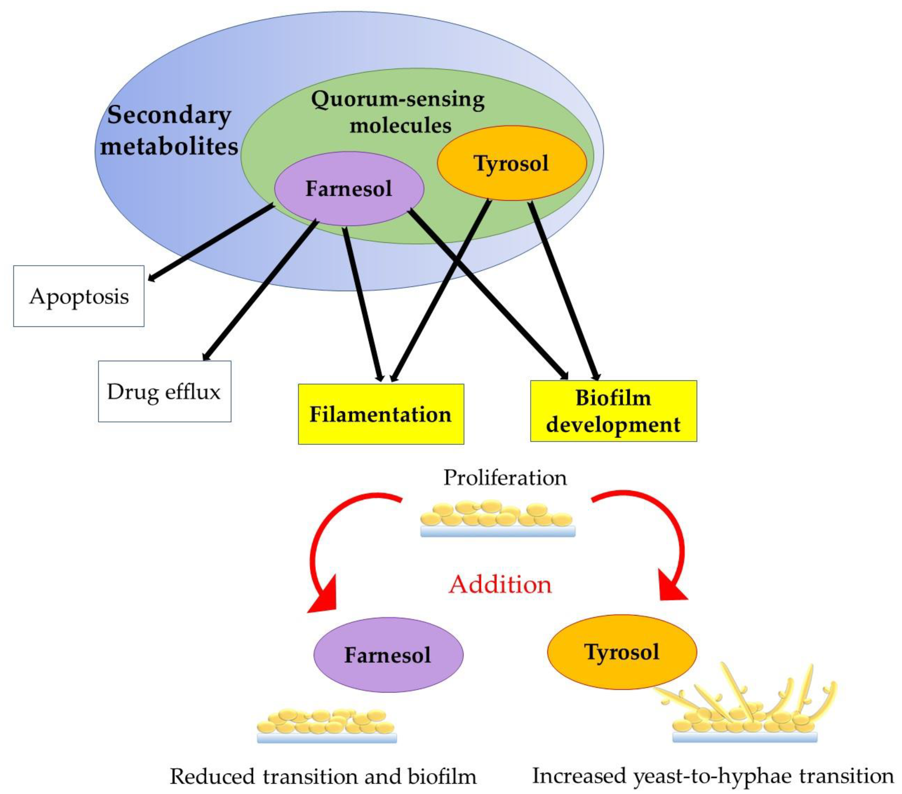 Genes 11 00444 g002 Genes 11 00444 g002
