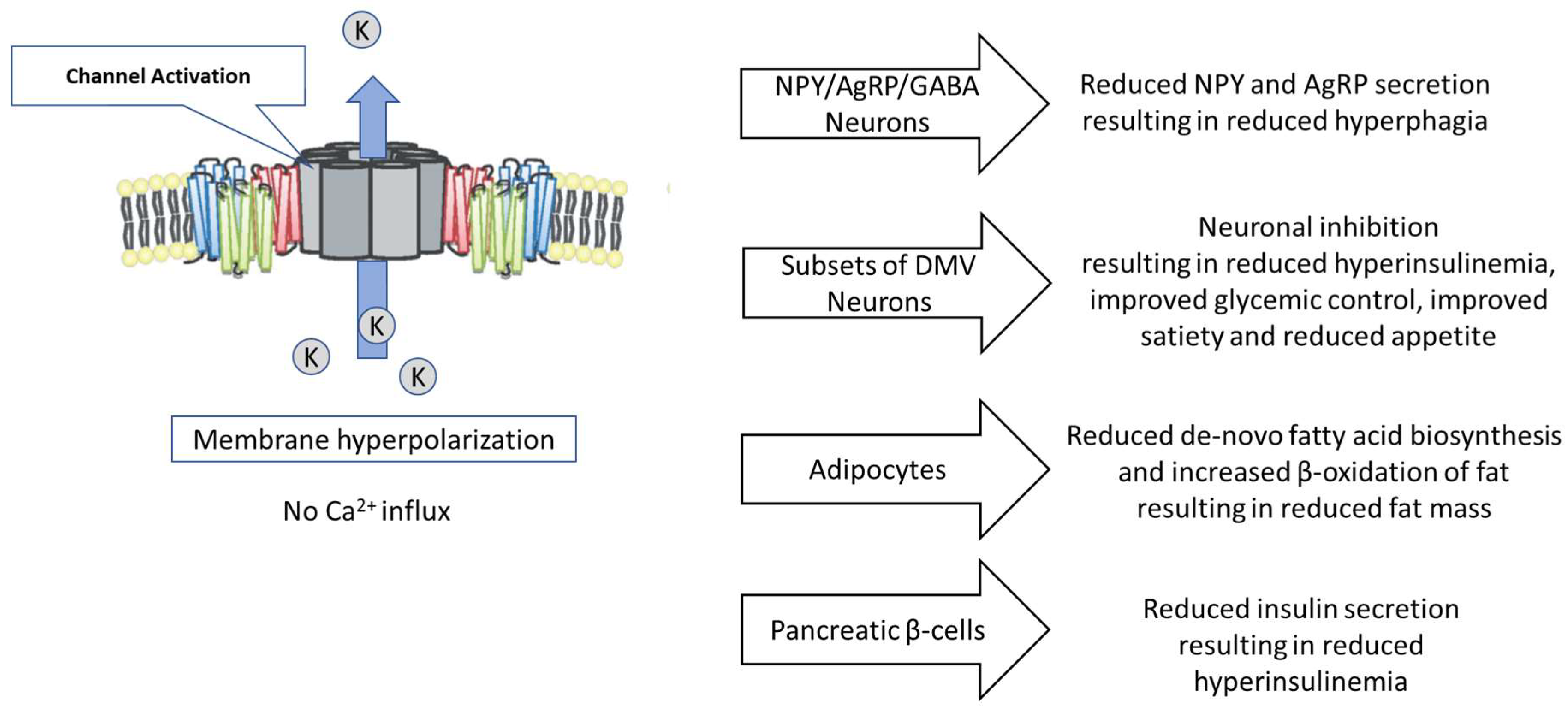 Genes 11 00450 g001