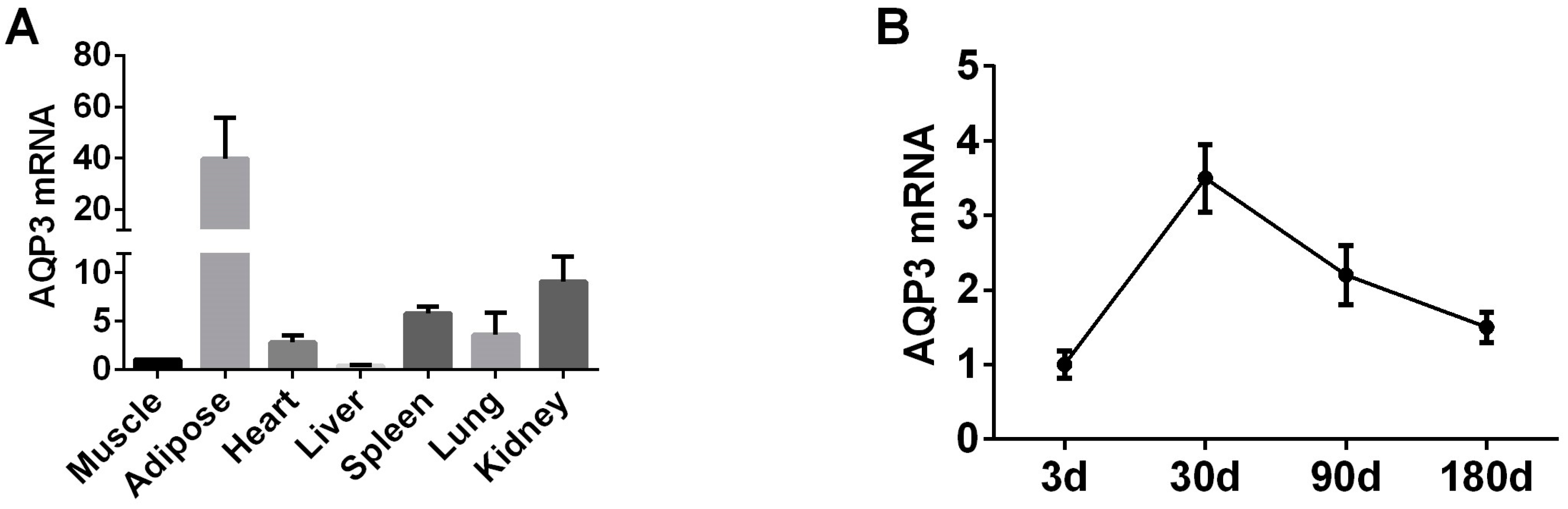 Genes 11 00453 g001 Genes 11 00453 g001
