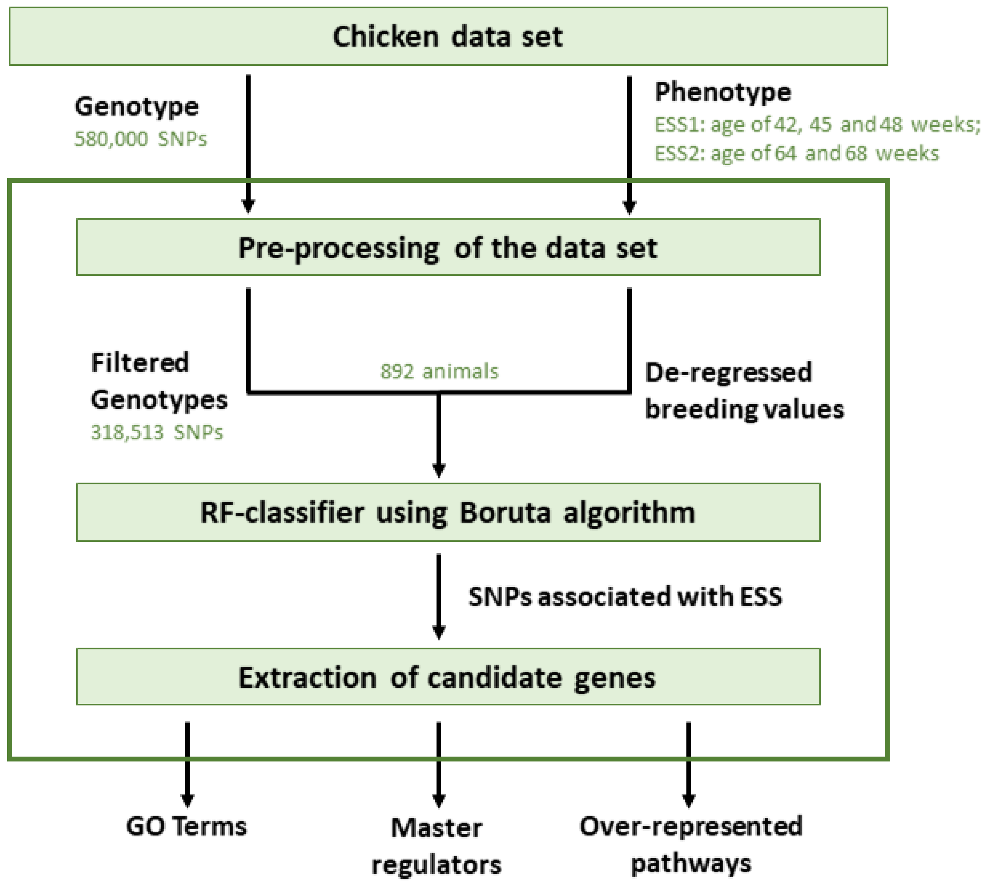 Genes 11 00464 g001