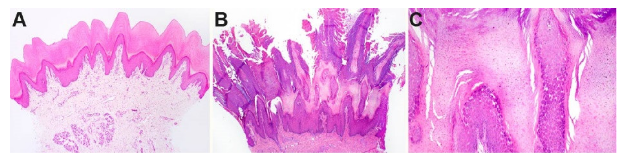 Genes 11 00469 g002 Genes 11 00469 g002